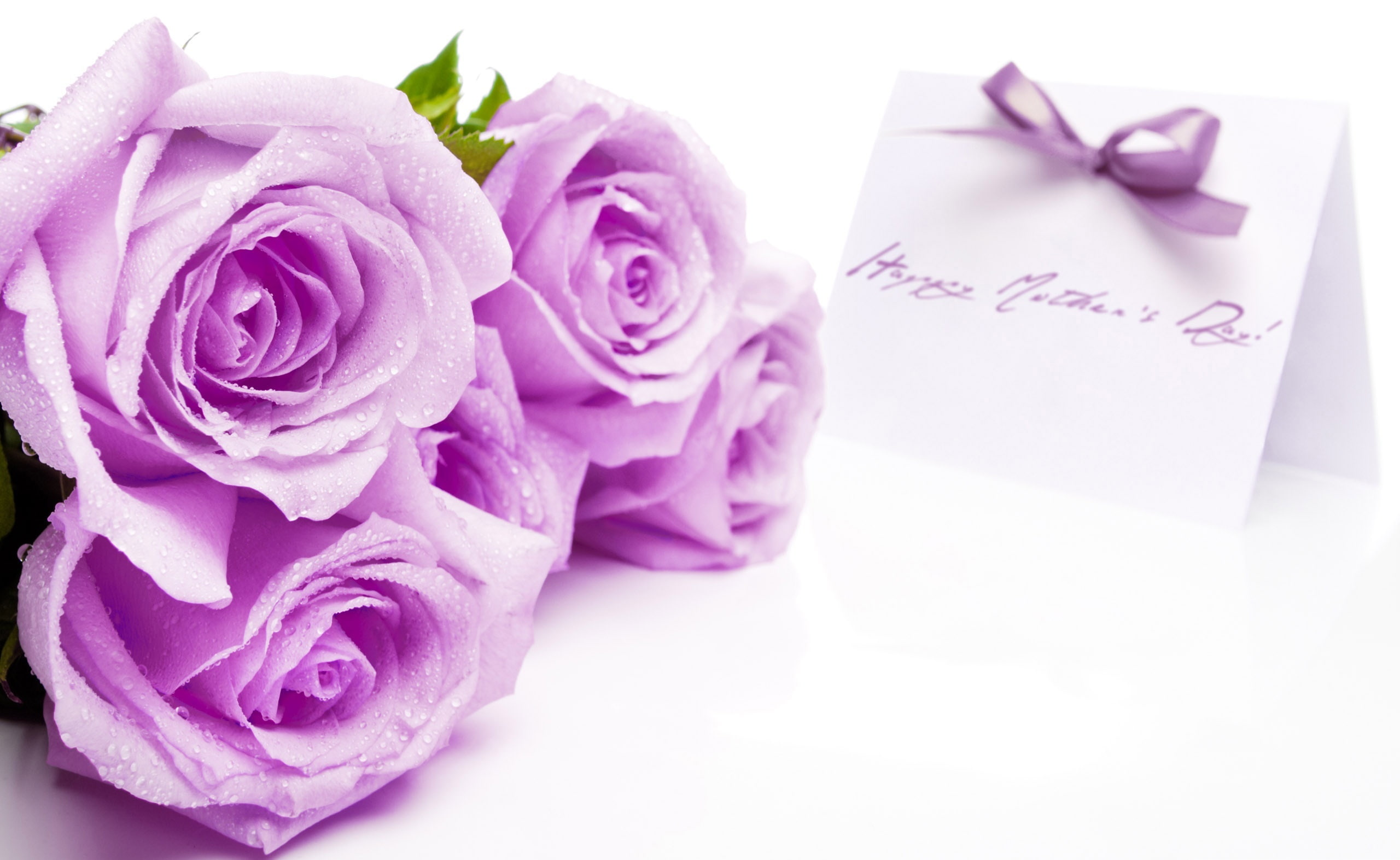 rose, close-up, purple, inflorescence, celebration, vulnerability, pink color, four, roses, bouquet, mothers, Mothers Day, day, nature, beauty in nature, HD Wallpaper