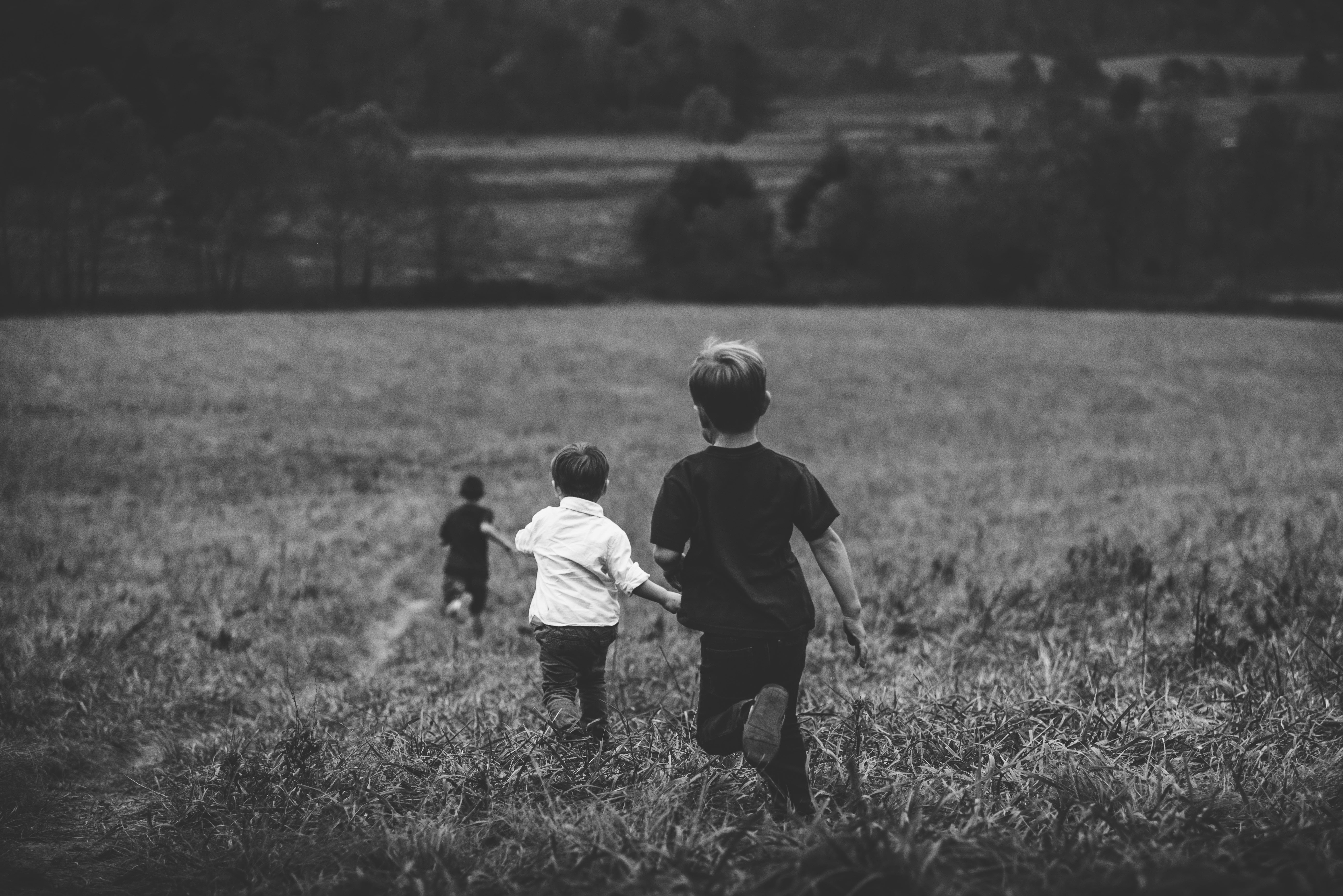 summer, babies And Children, bw, outdoors, childhood, brother, day, caucasian Ethnicity, happiness, lifestyles, plant, father, cheerful, family, fun, nature, HD Wallpaper