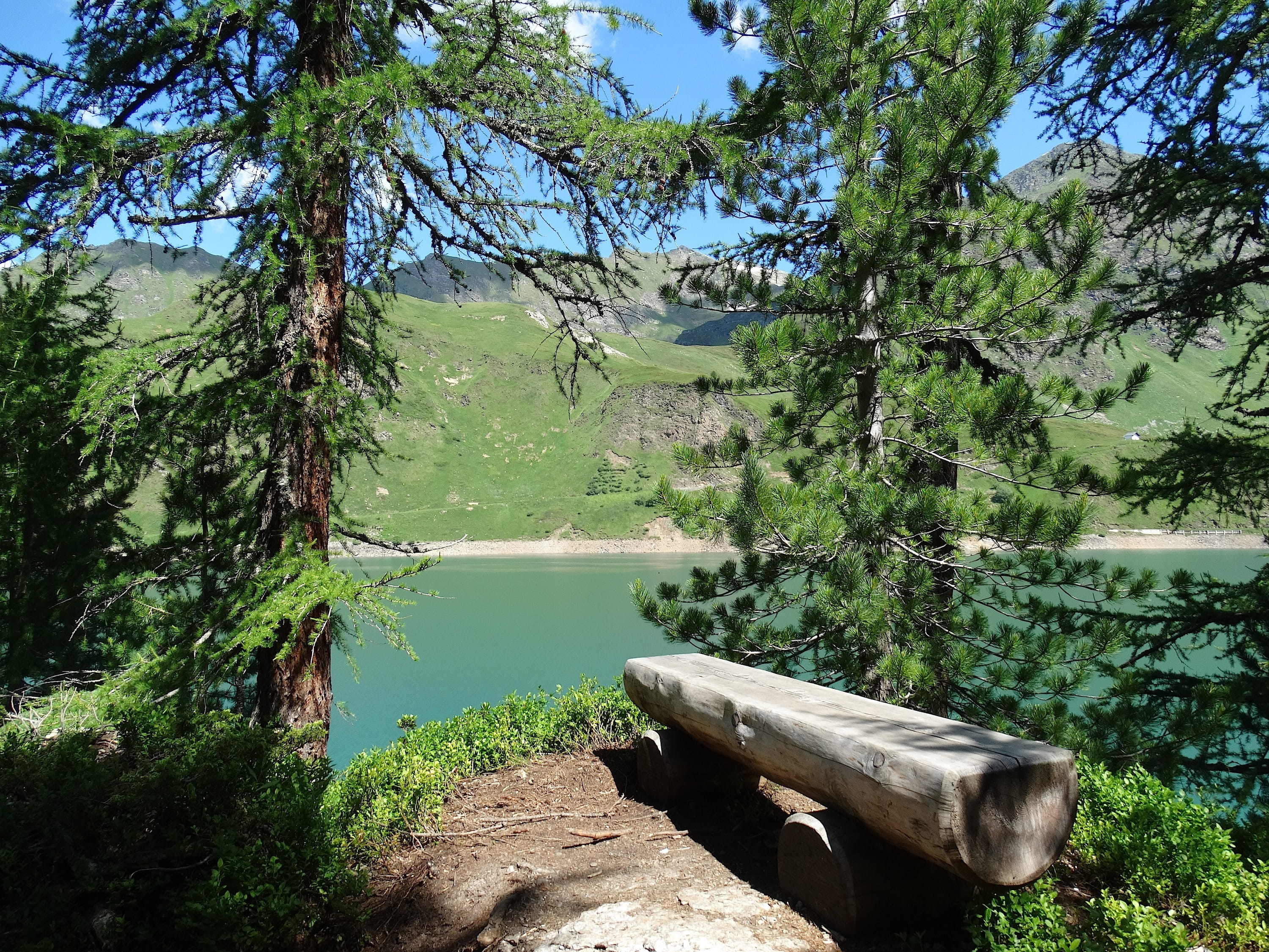 forest, flowing, plant, growth, enjoy, beauty in nature, no people, bergsee, green color, wooden bench, non-urban scene, tree, nature, water, alpine, outdoors, HD Wallpaper
