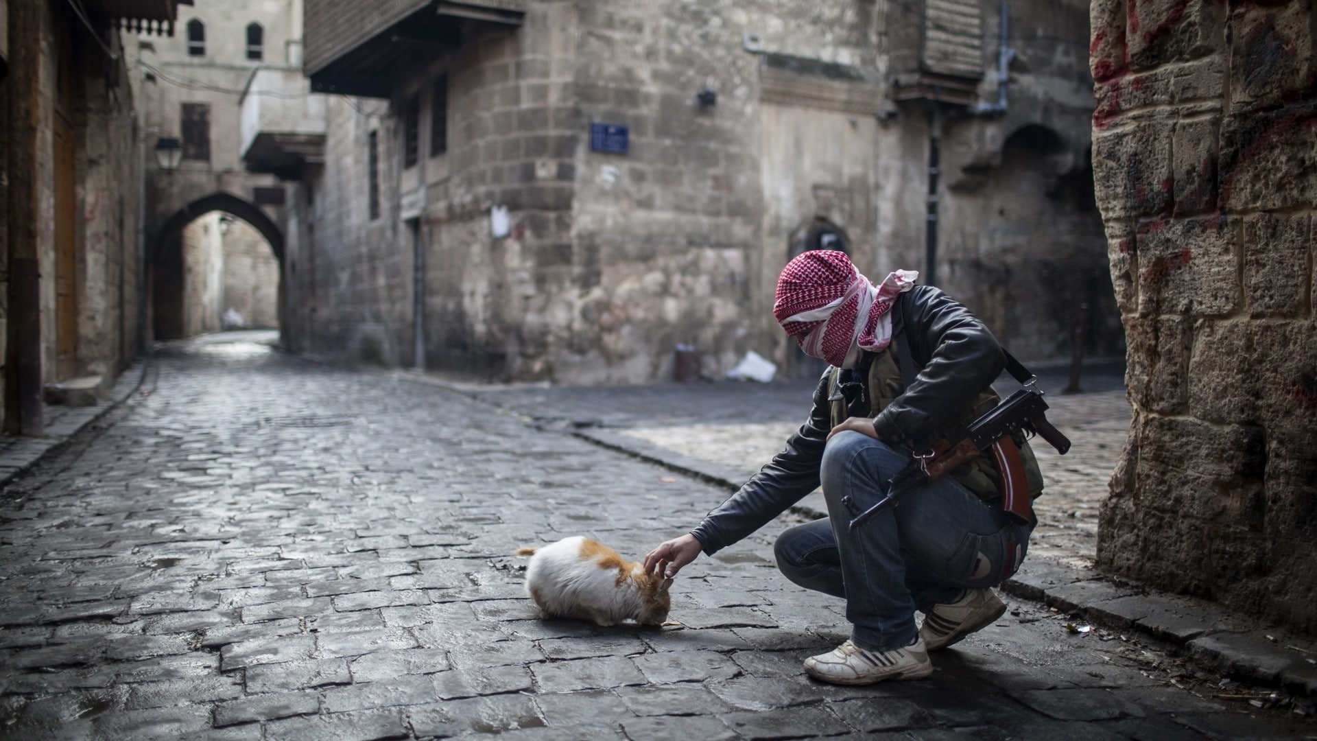 house, street, food, man, armed, Cat, arms, 1080P, HD Wallpaper