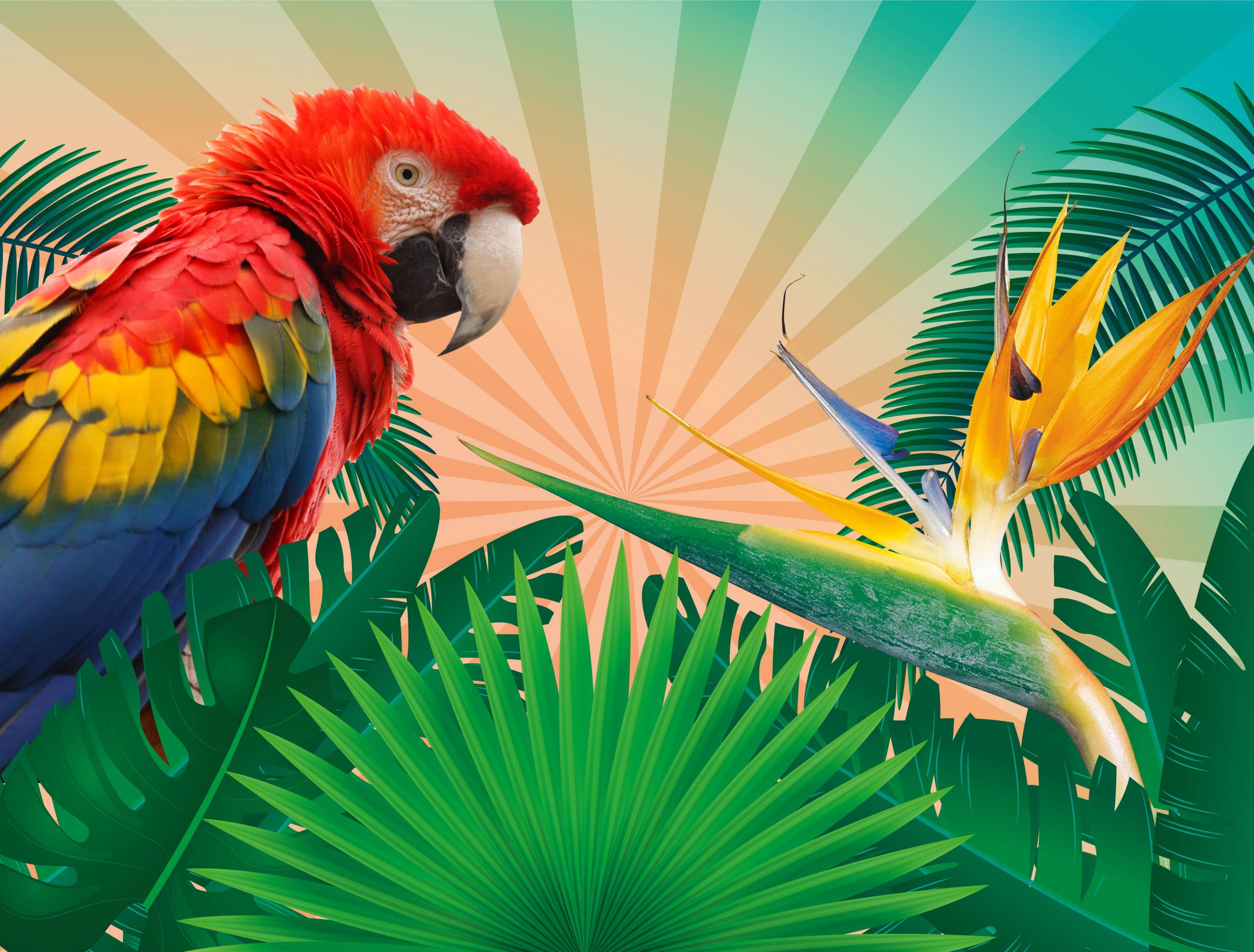 4K, tropics, multi colored, summer, macaw, holiday, rainbow lorikeet, palm, animals in the wild, plant, relax, recover, animal, summer holiday, plant part, HD Wallpaper