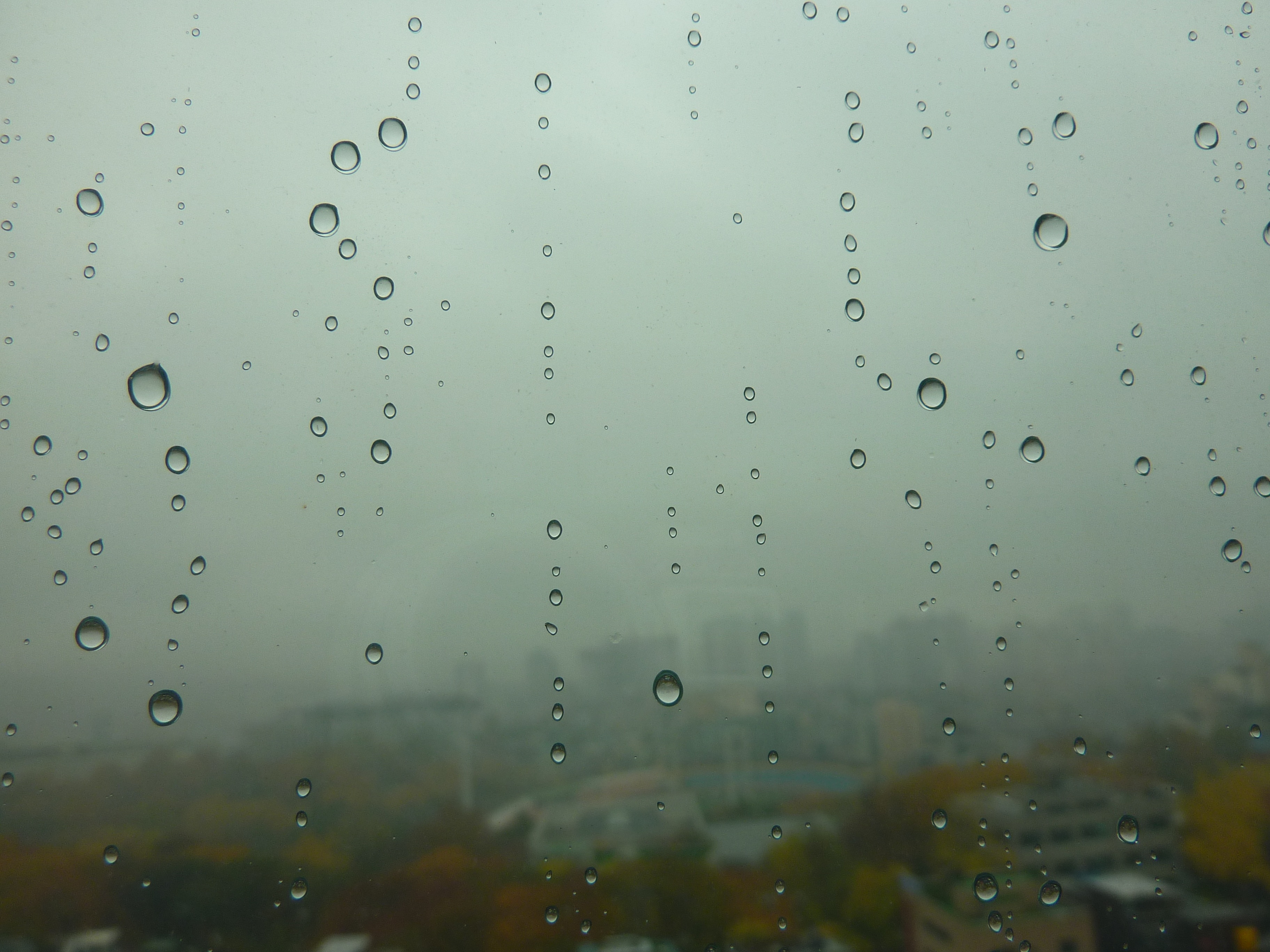 backgrounds, 2K, water, outdoors, trickle, raindrop, drop, day, no people, glass - material, focus on foreground, rain, wet, close-up, rainy season, nature, HD Wallpaper