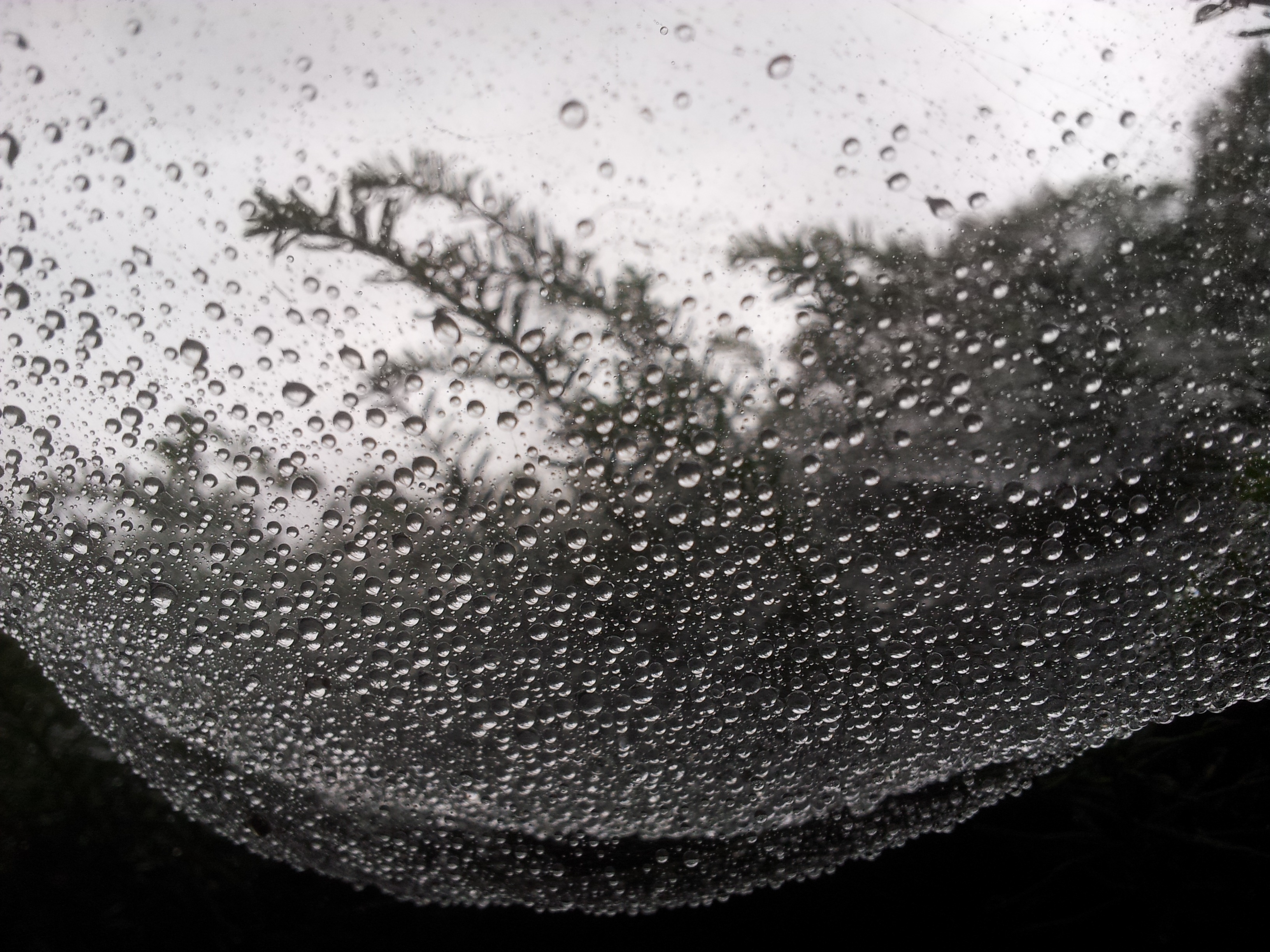 water, vehicle interior, weather, rainy season, raindrop, glass - Material, another world, non, rain, backgrounds, close-up, abstract, transparent, drop, HD Wallpaper