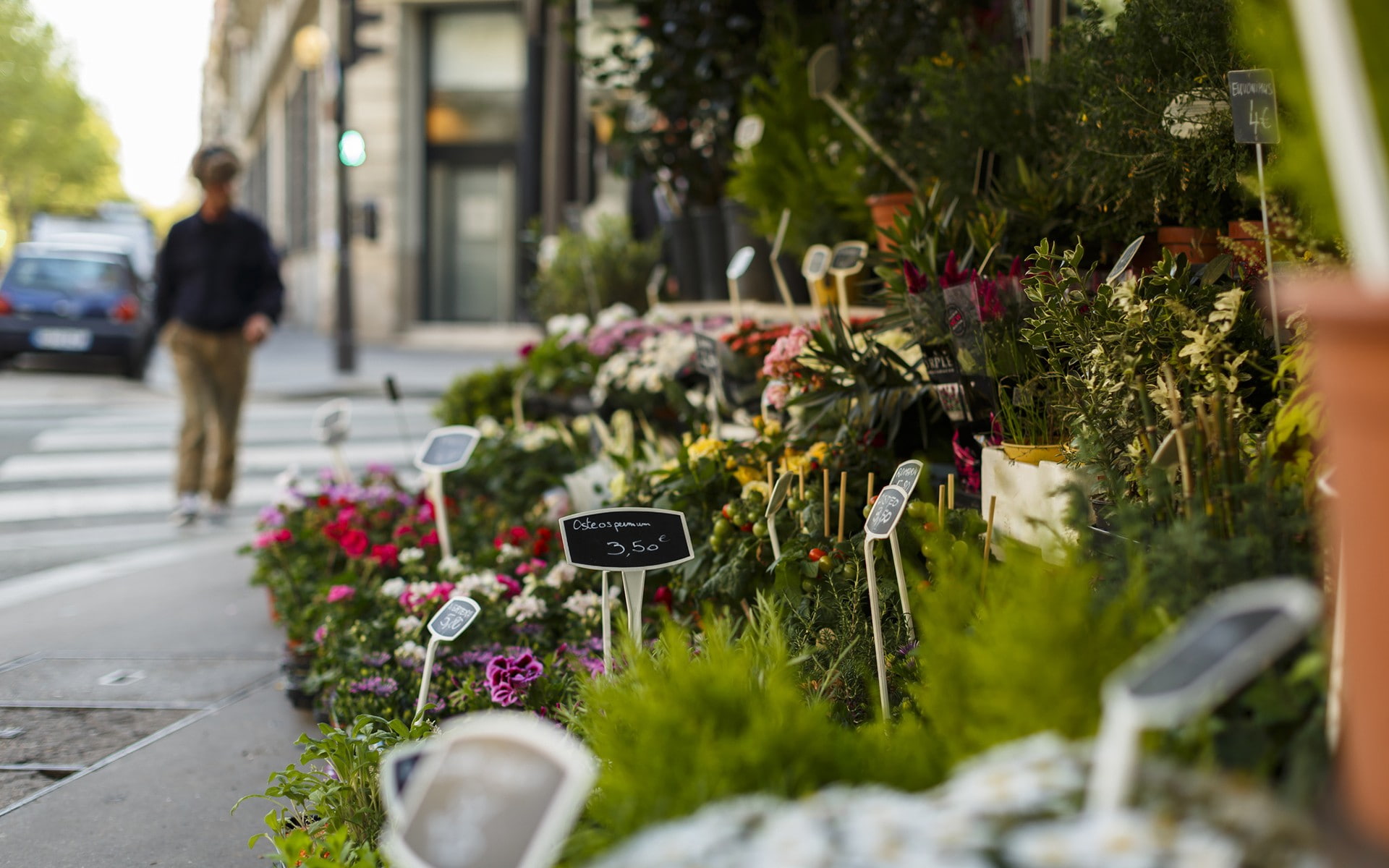 markets, 1080P, flowers, depth of field, street, urban, plants, HD Wallpaper