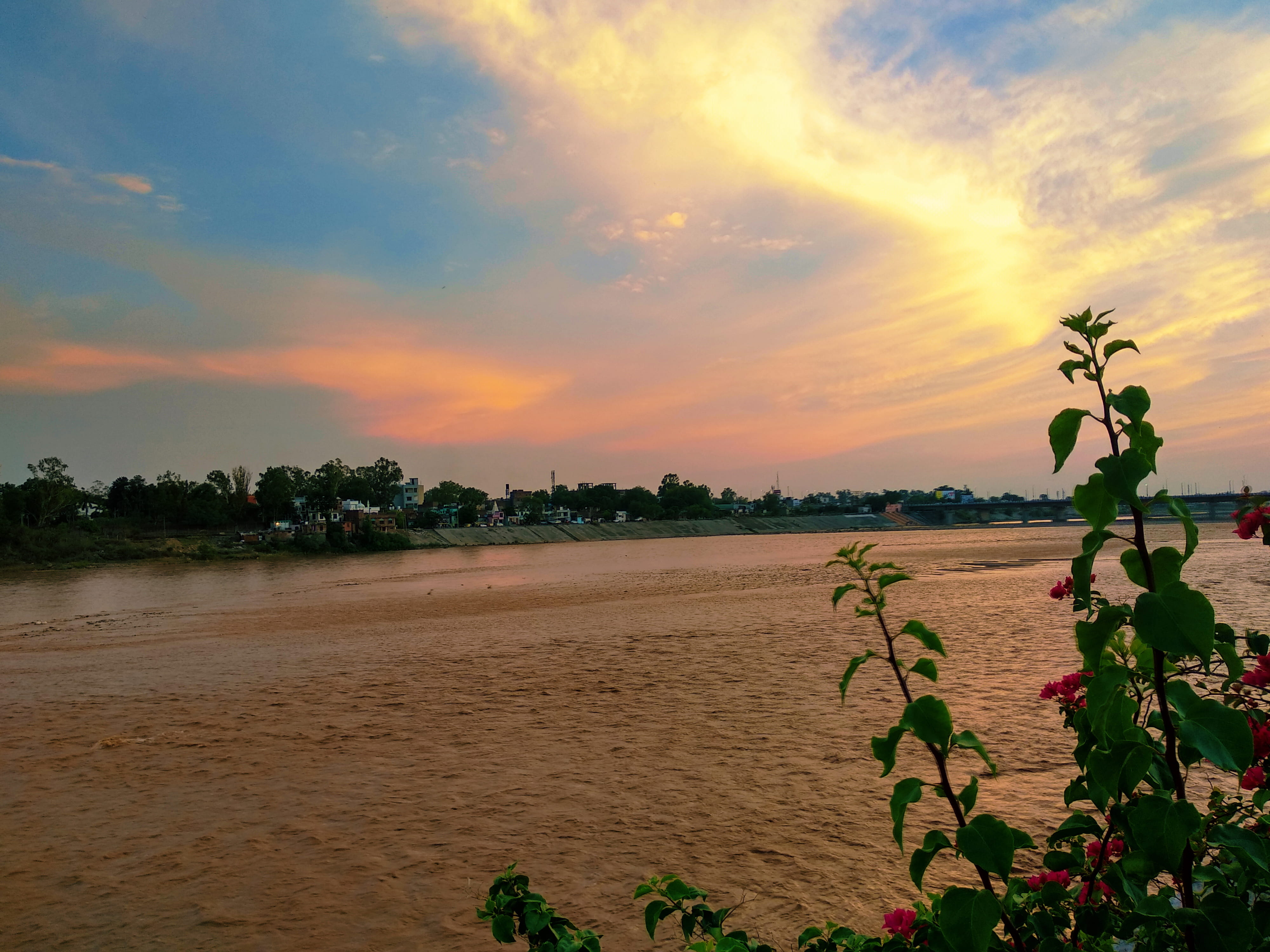 flowering plant, flower, india, idyllic, sky, tranquil scene, scenics - nature, maharaja hari singh park, outdoors, beauty in nature, jammu, land, sunset, HD Wallpaper