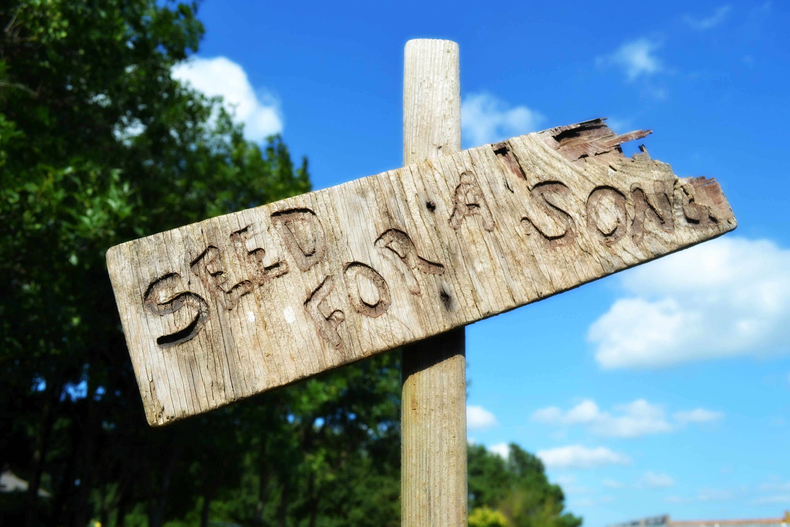wooden post, guidance, planting, outdoors, branch, song, farmers market, western script, wood - material, vegetables, cloud - sky, sign, trade, landscape, HD Wallpaper