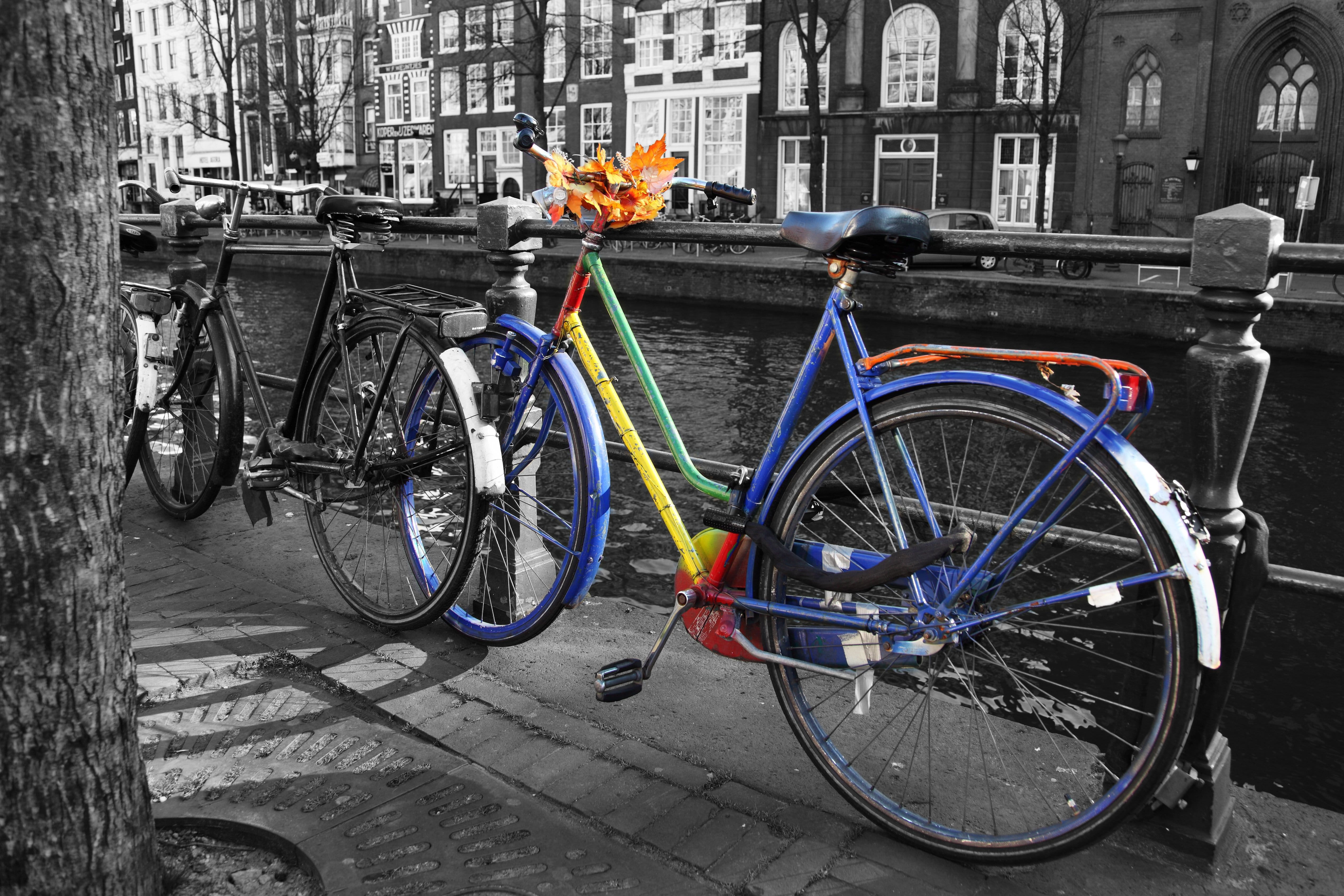 mode of transportation, no people, Outside, travel, nature, wheel, outdoors, street, 4K, city, ride, colorful, flower, transport, sport, city life, basket, HD Wallpaper