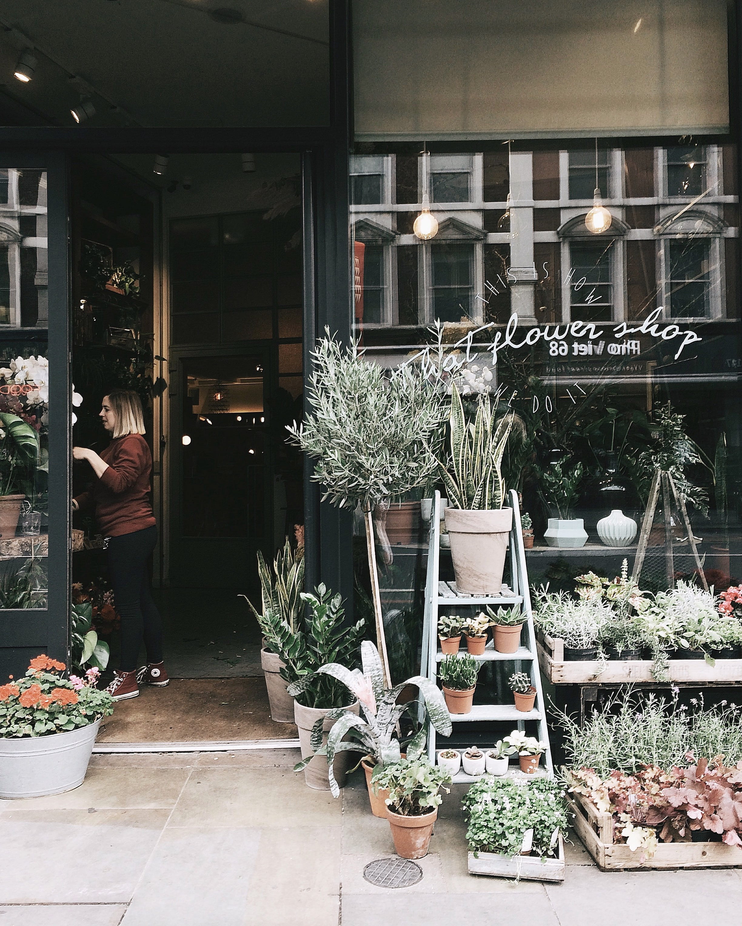growth, flower shop, sale, choice, variation, pots, consumerism, business, for sale, standing, plant, one person, potted plant, near, store, day, woman, Phone HD Wallpaper