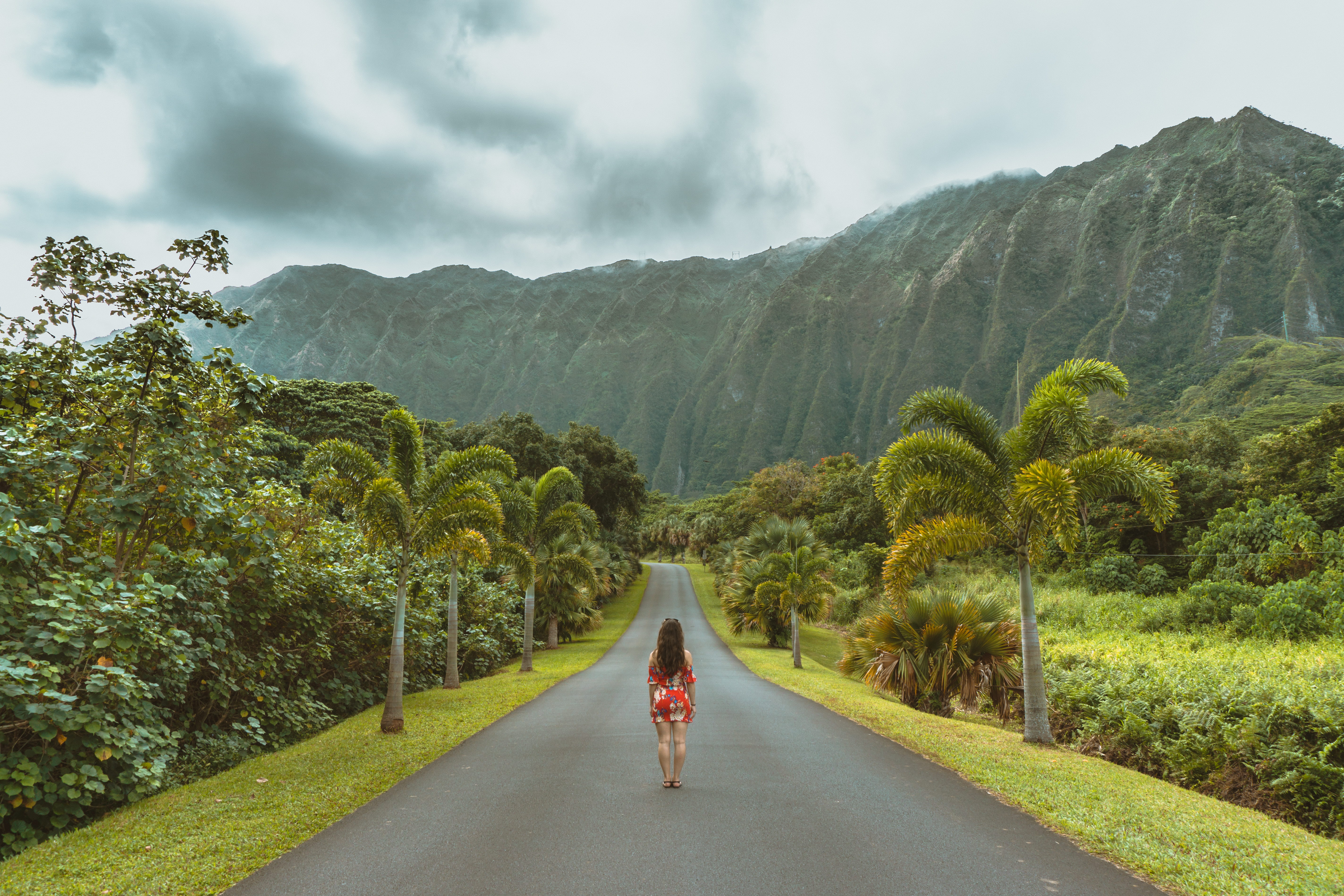 concrete, mountain, grass, woman, person, outdoors, rear view, growth, adventure, near, one person, plant, street, beauty in nature, tree, cloud - sky, HD Wallpaper