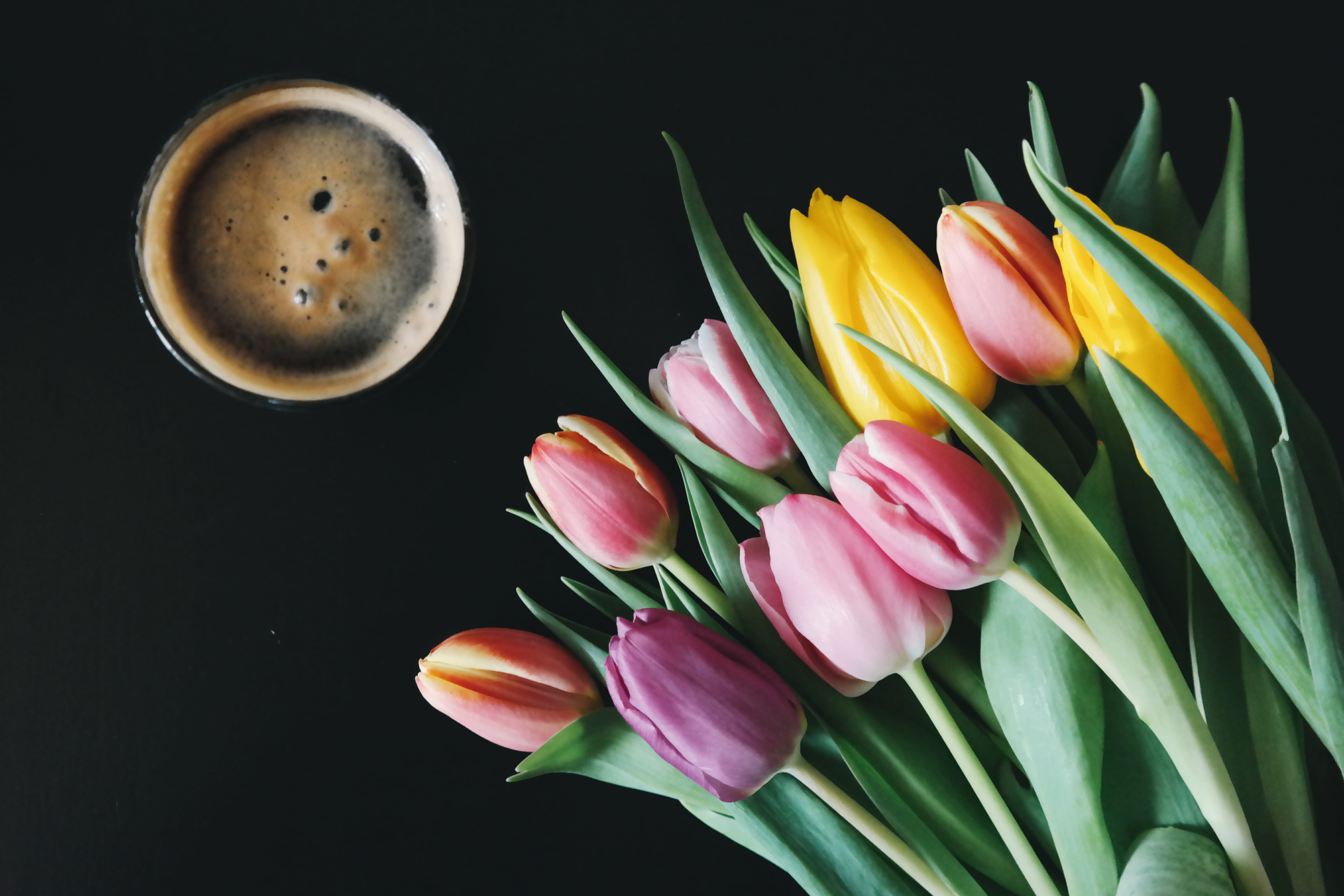 inflorescence, filled, bouquet, lay, color, assorted, beauty in nature, black, bunch of flowers, green, coffee, black background, flowering plant, tulip, HD Wallpaper