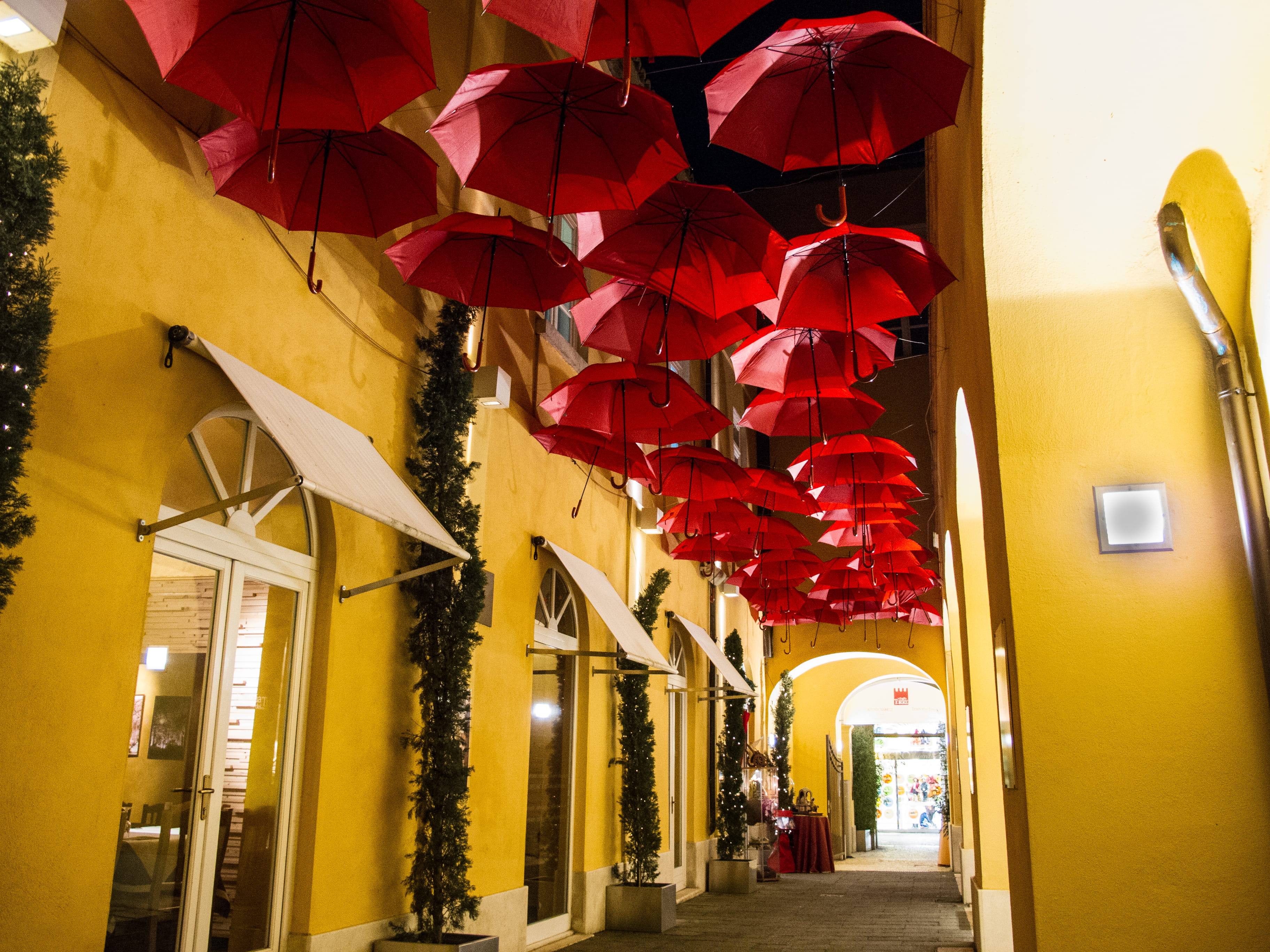 building, outdoors, no people, red, city, plant, covered, umbrellas, flower, lighting equipment, red umbrella, umbrella, urban Scene, travel, hanging, lot, HD Wallpaper