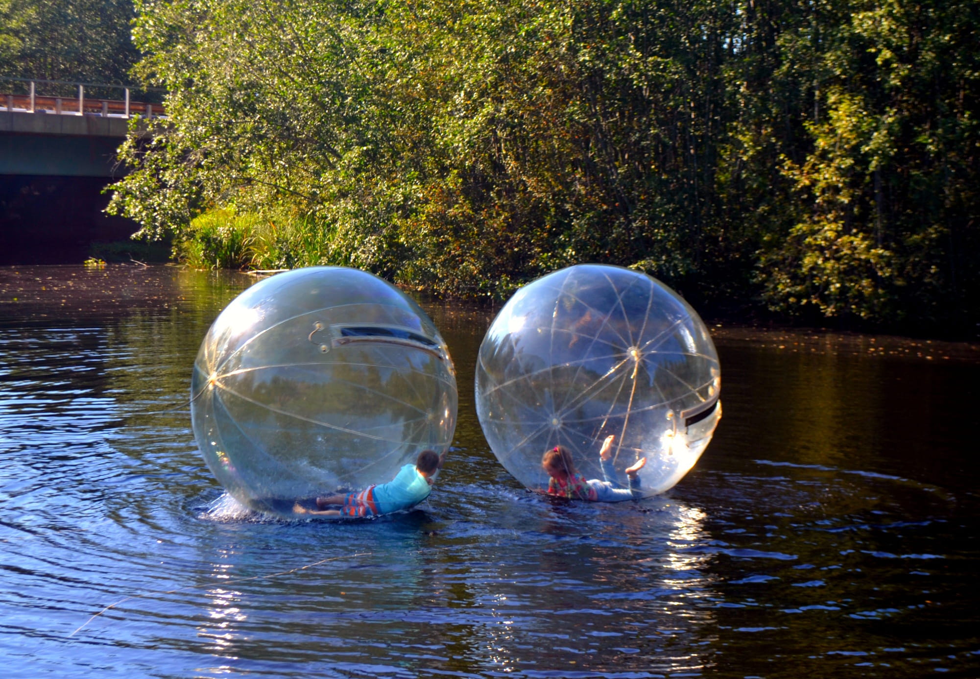 boy, day, crystal ball, plant, scenics - nature, play, large, group of animals, floating on water, sphere, vertebrate, Game, waterfront, inflatable, reflection, HD Wallpaper