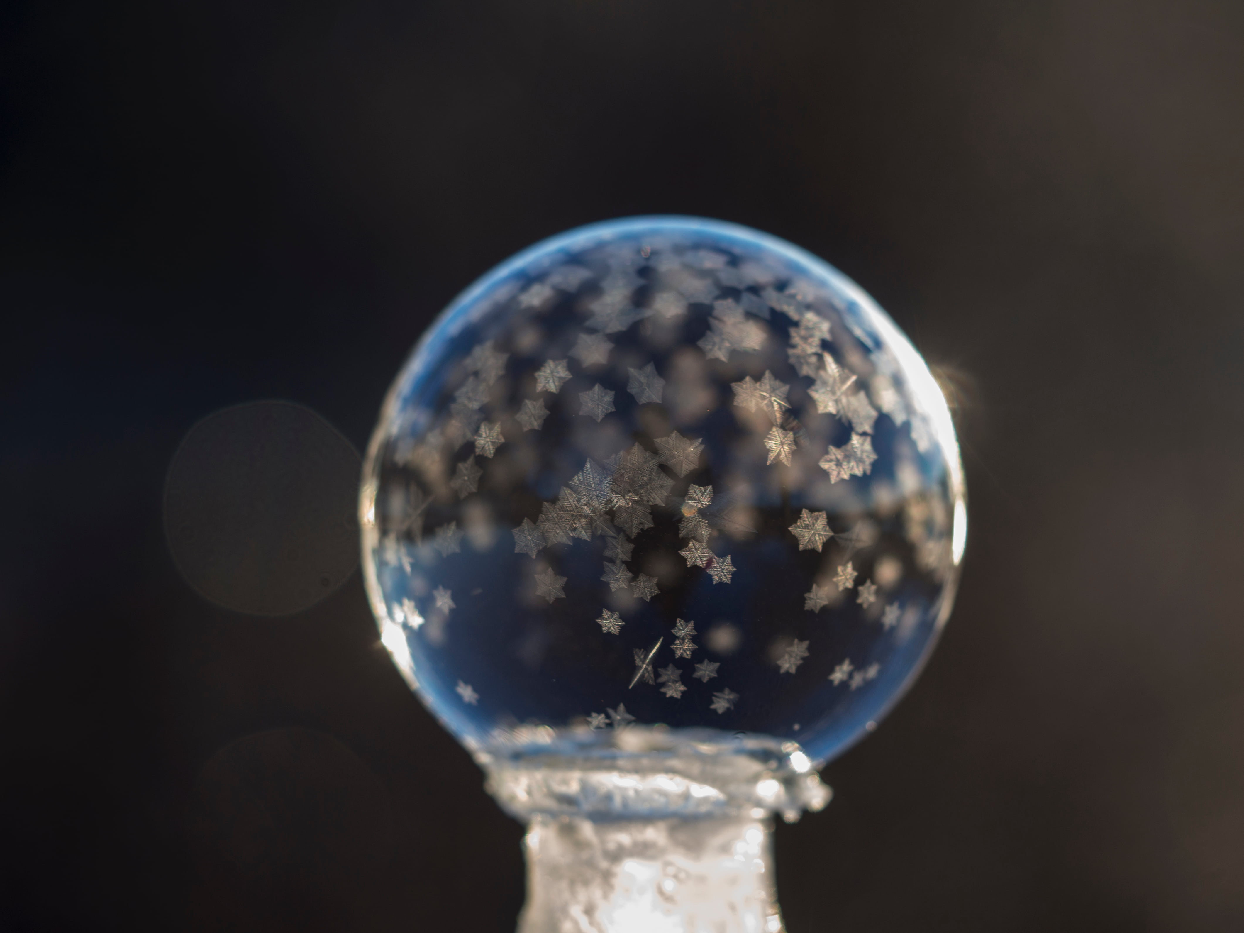 globe, glass, close-up, base, vulnerability, science, white, no people, round, clean, crystal, bokeh, illuminated, sphere, nature, blur, planet earth, studio shot, HD Wallpaper