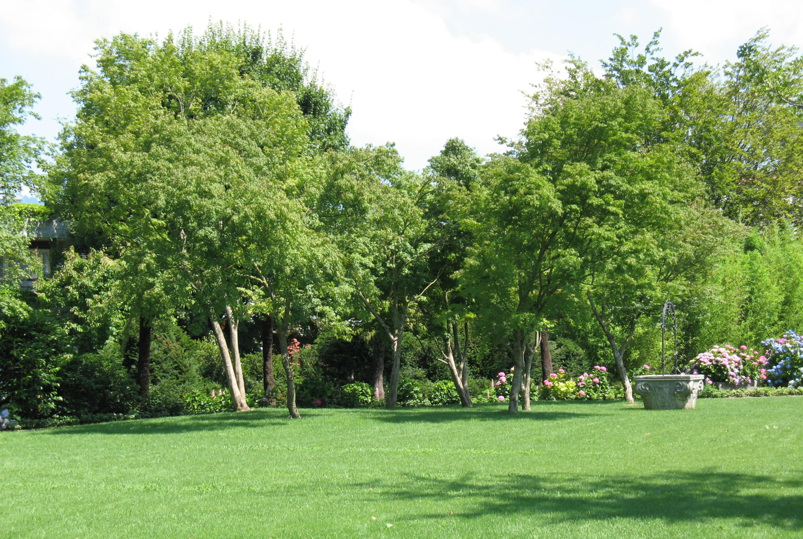 shadow, outdoors, landscape, lawn, plant, rapperswil, formal Garden, field, enea garden, trees, sky, summer, park - Man Made Space, 2K, nature, tree, sunlight, HD Wallpaper