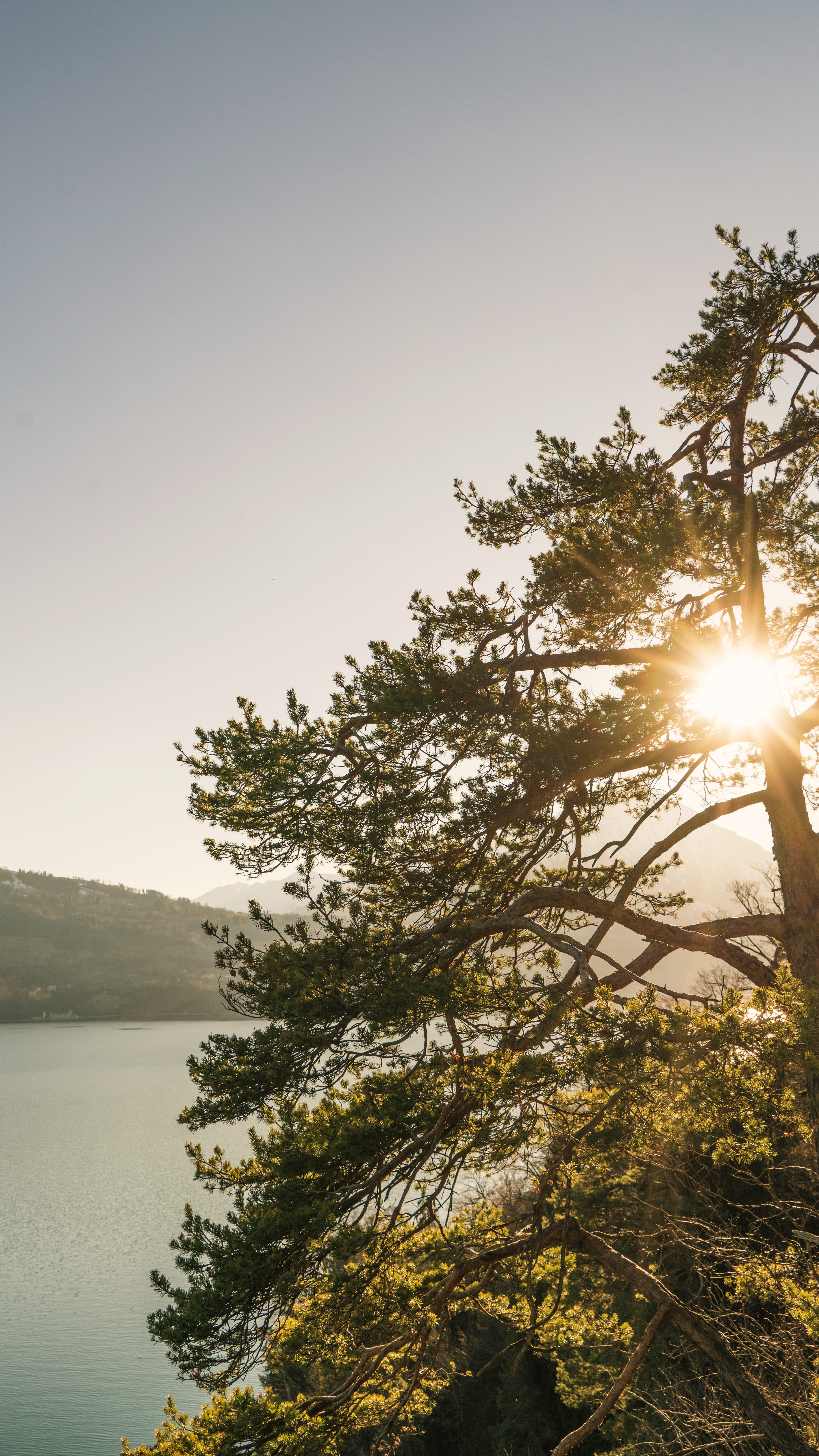sun, no people, springsun, clear sky, outdoors, sunbeam, spring, summer, plant, springtime, holiday, lens flare, pure, swisslake, water, frontlighting, Phone HD Wallpaper