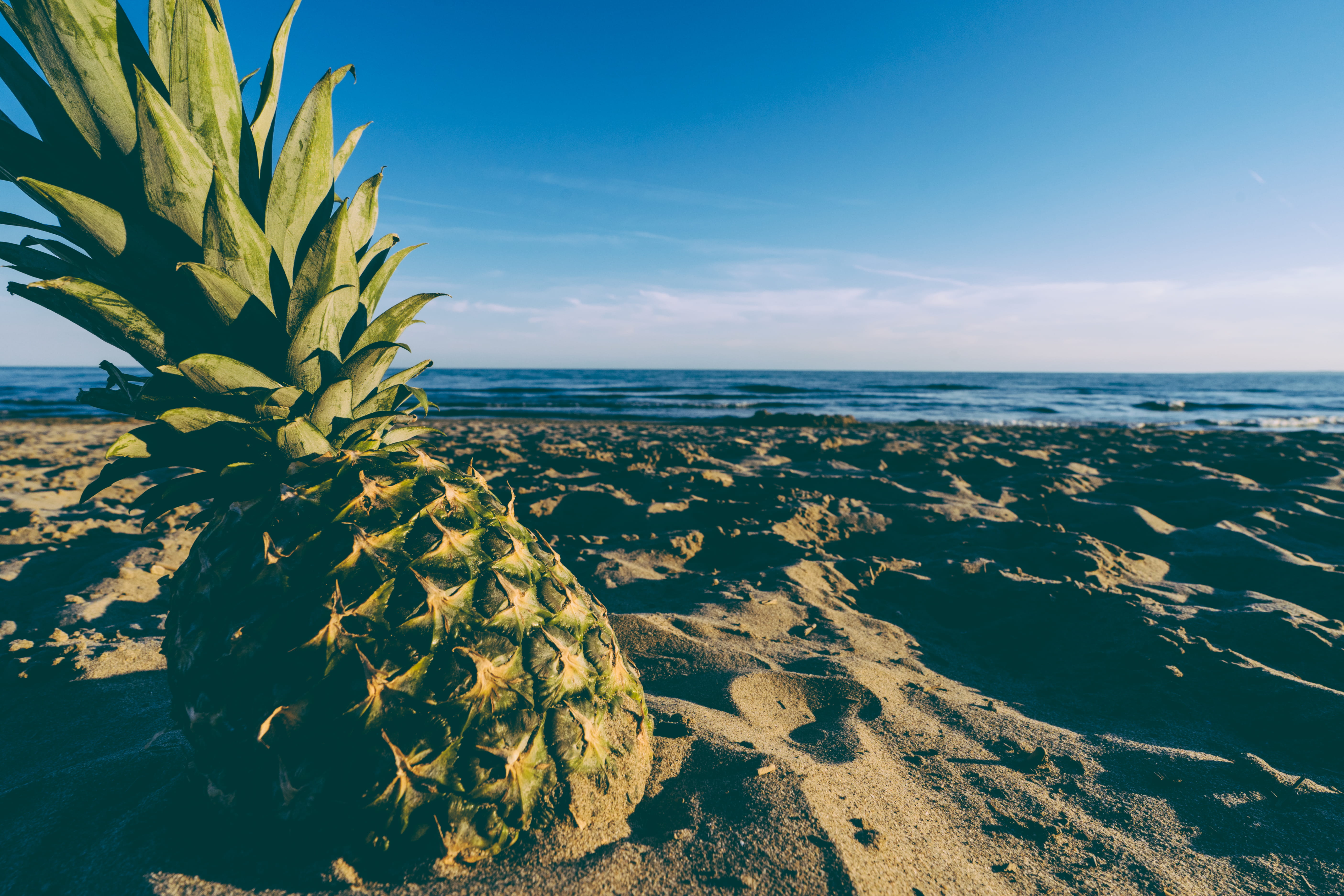 vacation, sea, day, non-urban scene, idyllic, tropical, outdoors, summer, growth, no people, fruit, horizon, pineapple, tranquil scene, horizon over water, HD Wallpaper