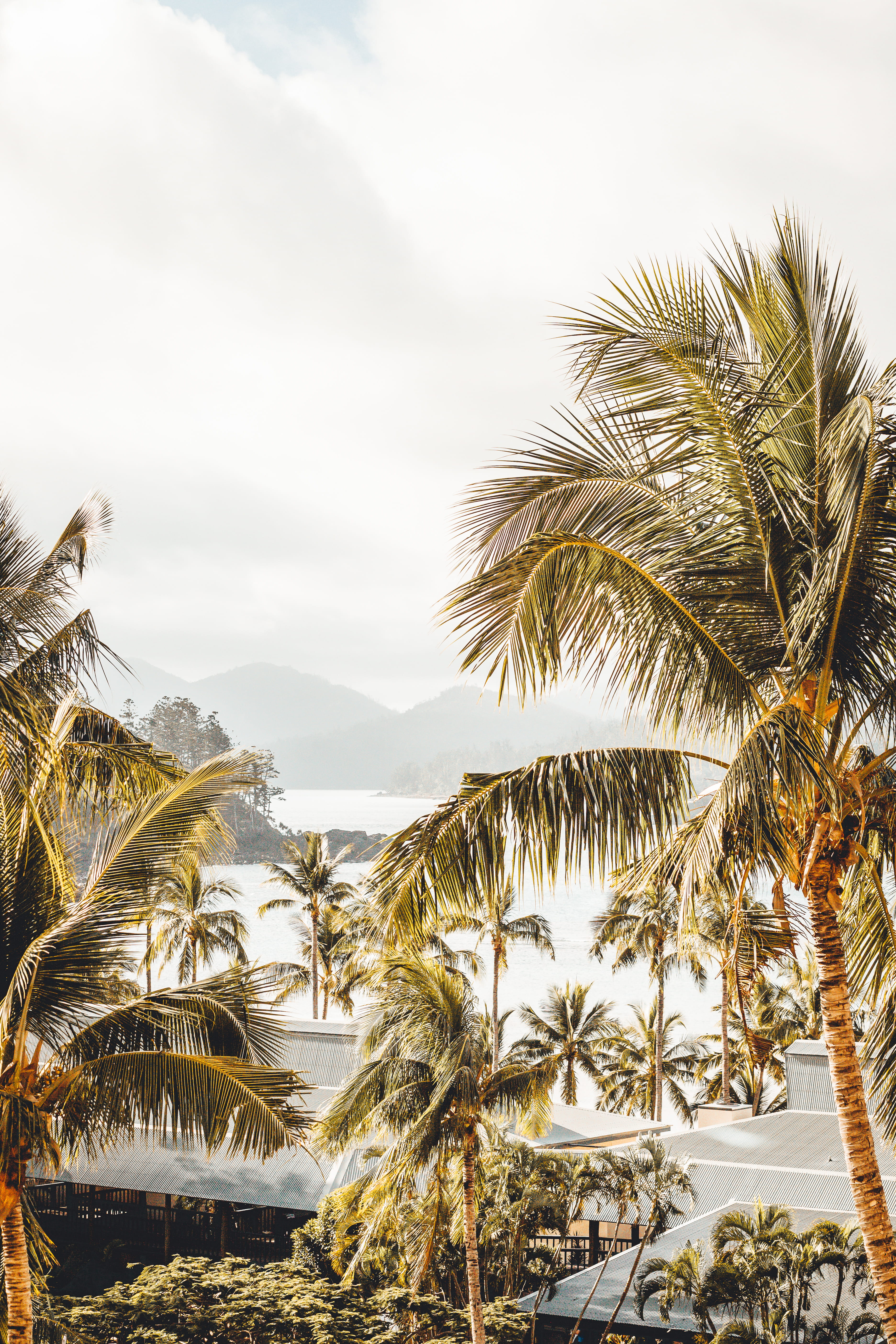 sunlight, botanical, tourist Resort, mountain, landscape, tree, scenics, sun, day, cloud - Sky, tropical, journey, vibe, blue, ocean, tropical Climate, Phone HD Wallpaper