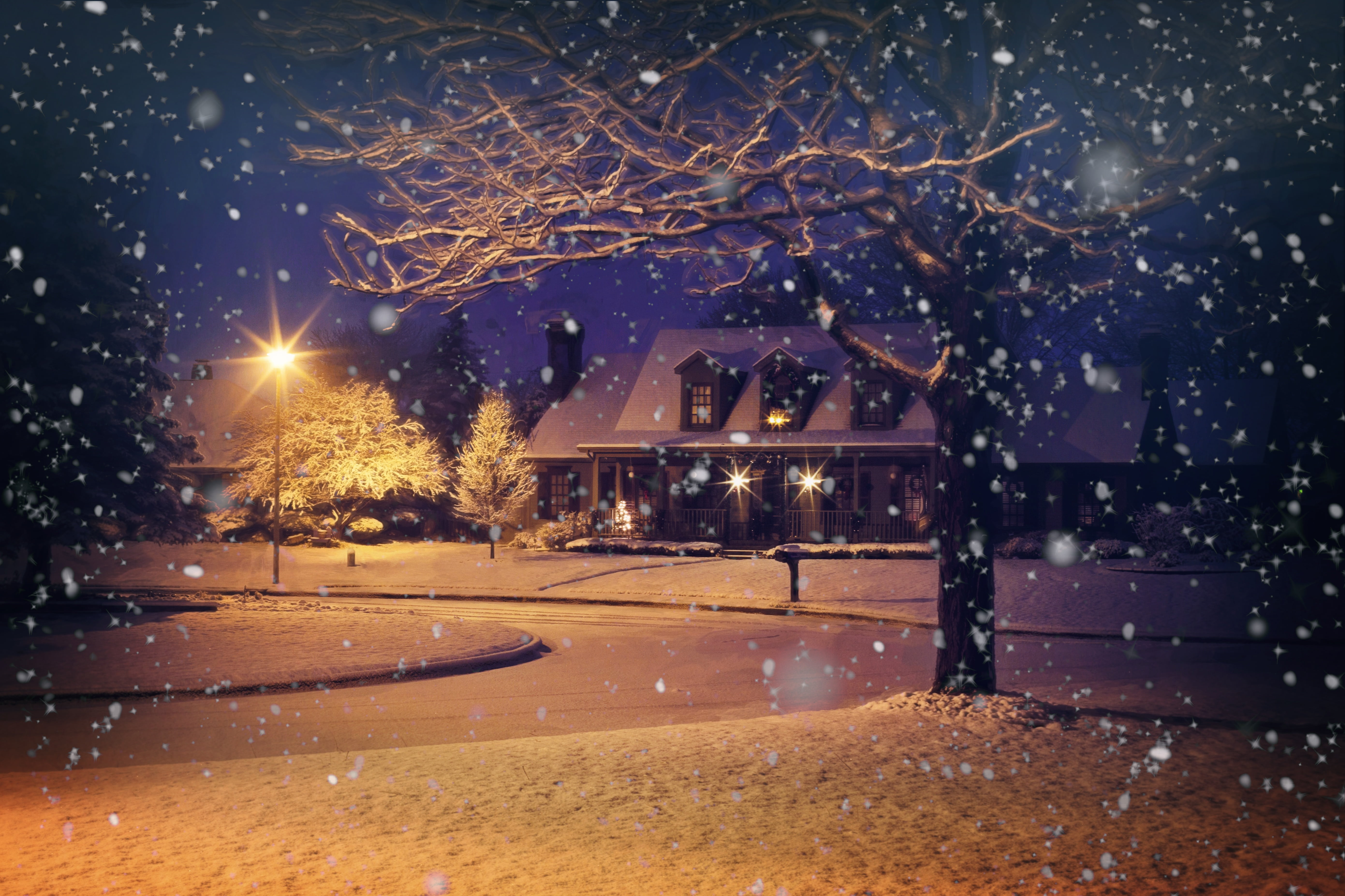 snowflake, no people, house, sky, snowy, winter, illuminated, plant, celebration, home, building exterior, snow, night, architecture, winter background, HD Wallpaper