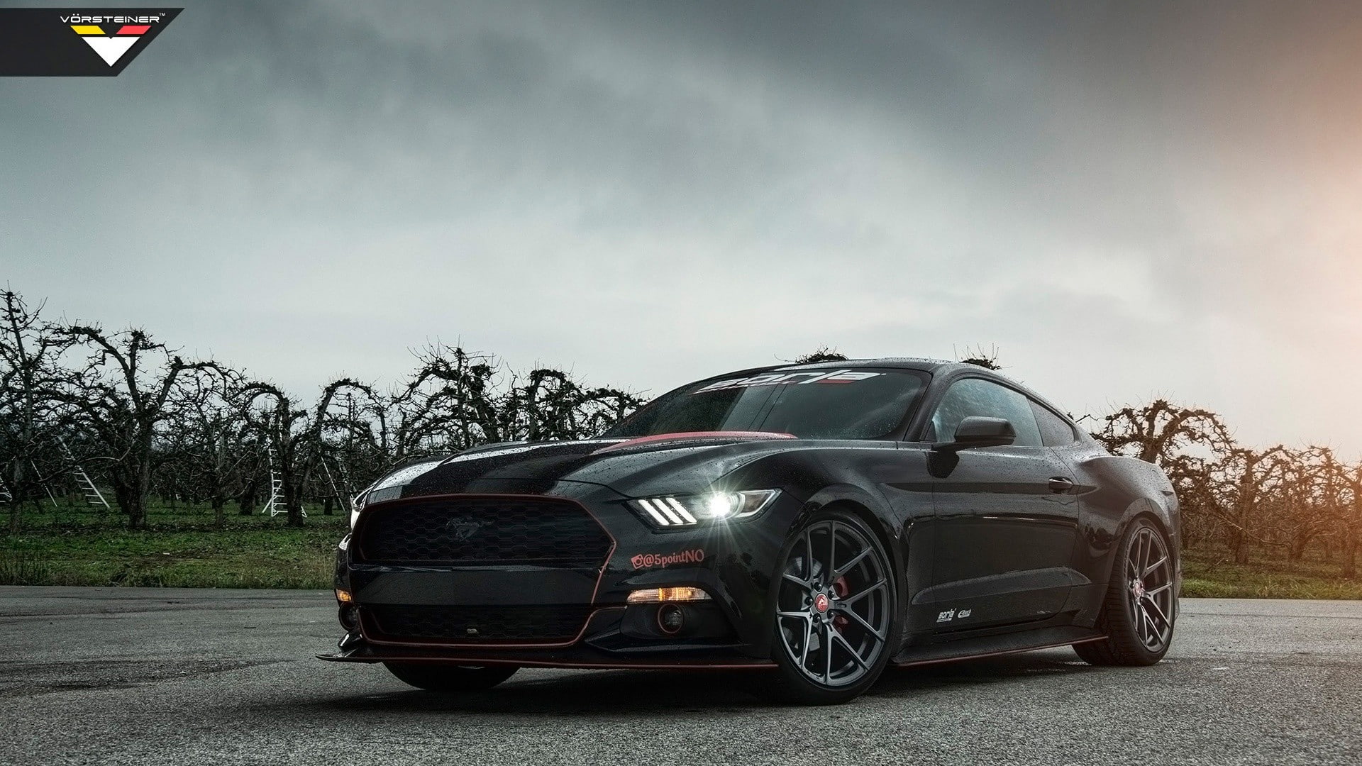 sky, land vehicle, road trip, travel, luxury, cloud - sky, Ford Mustang, plant, speed, transportation, mode of transportation, car, Ford, day, overcast, HD Wallpaper