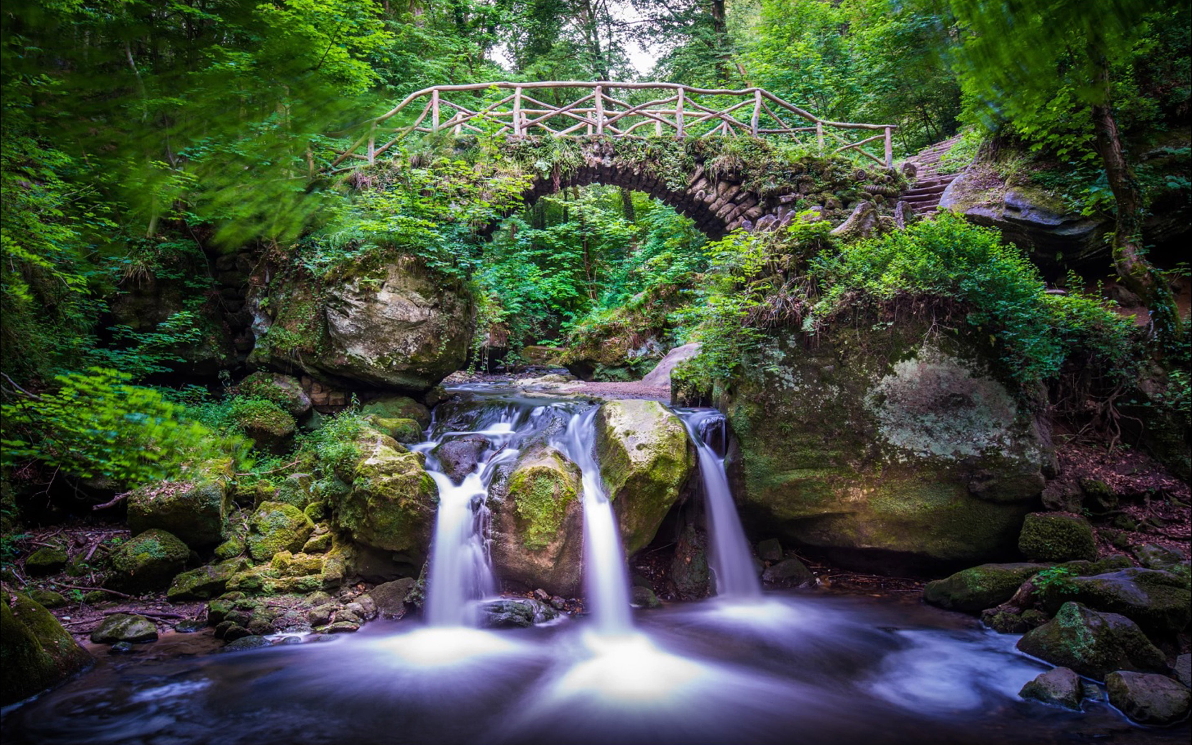 growth, rainforest, pc, tourist, rock, bridge - man made structure, tree, river, desktop, phones, flowing water, hd, outdoors, water, day, schiessentumpel, HD Wallpaper