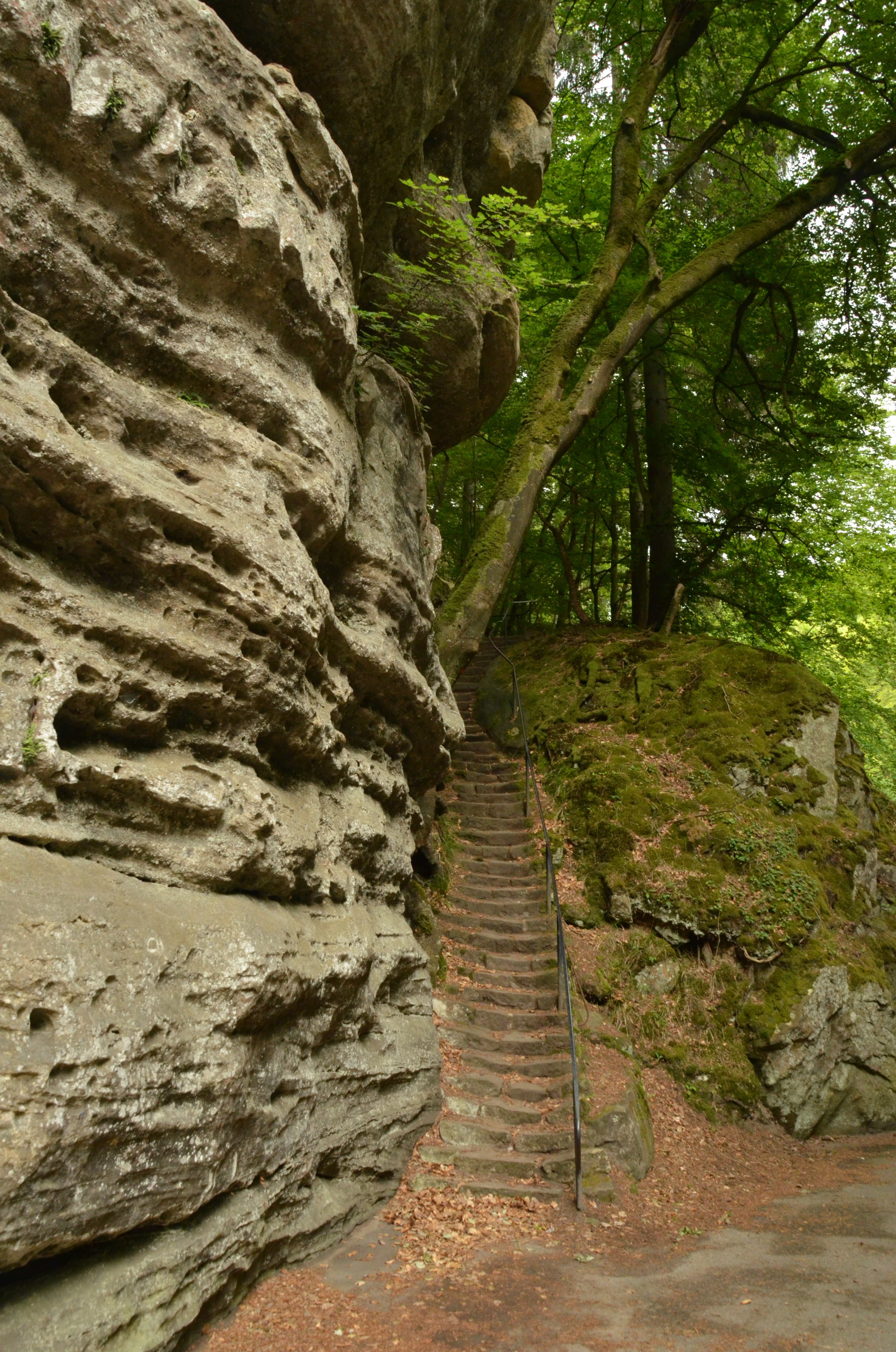 tranquil scene, the way forward, rock, tranquility, footpath, trail, luxembourg, land, non-urban scene, rock - object, green, no people, direction, outdoors, Phone HD Wallpaper