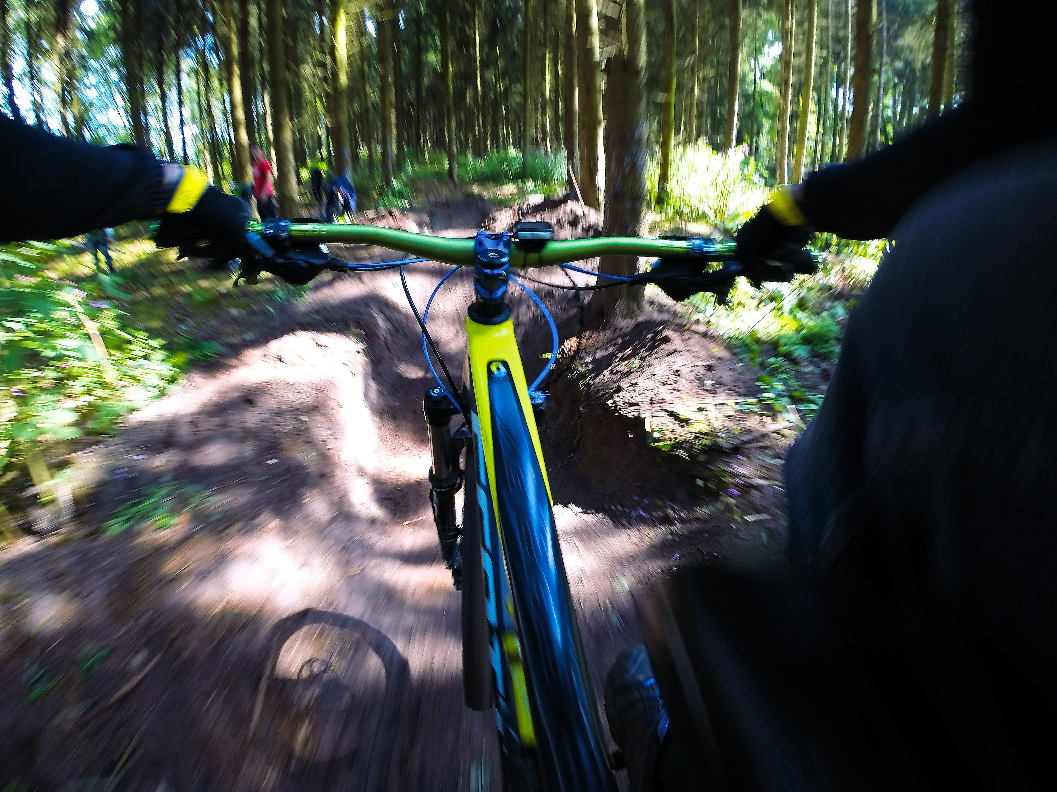 forest, tree, land, man, riding, leisure activity, trees, hand, bike, going, away, cycling, wheels, human body part, touring bike, mountain, gopro, sporty, HD Wallpaper