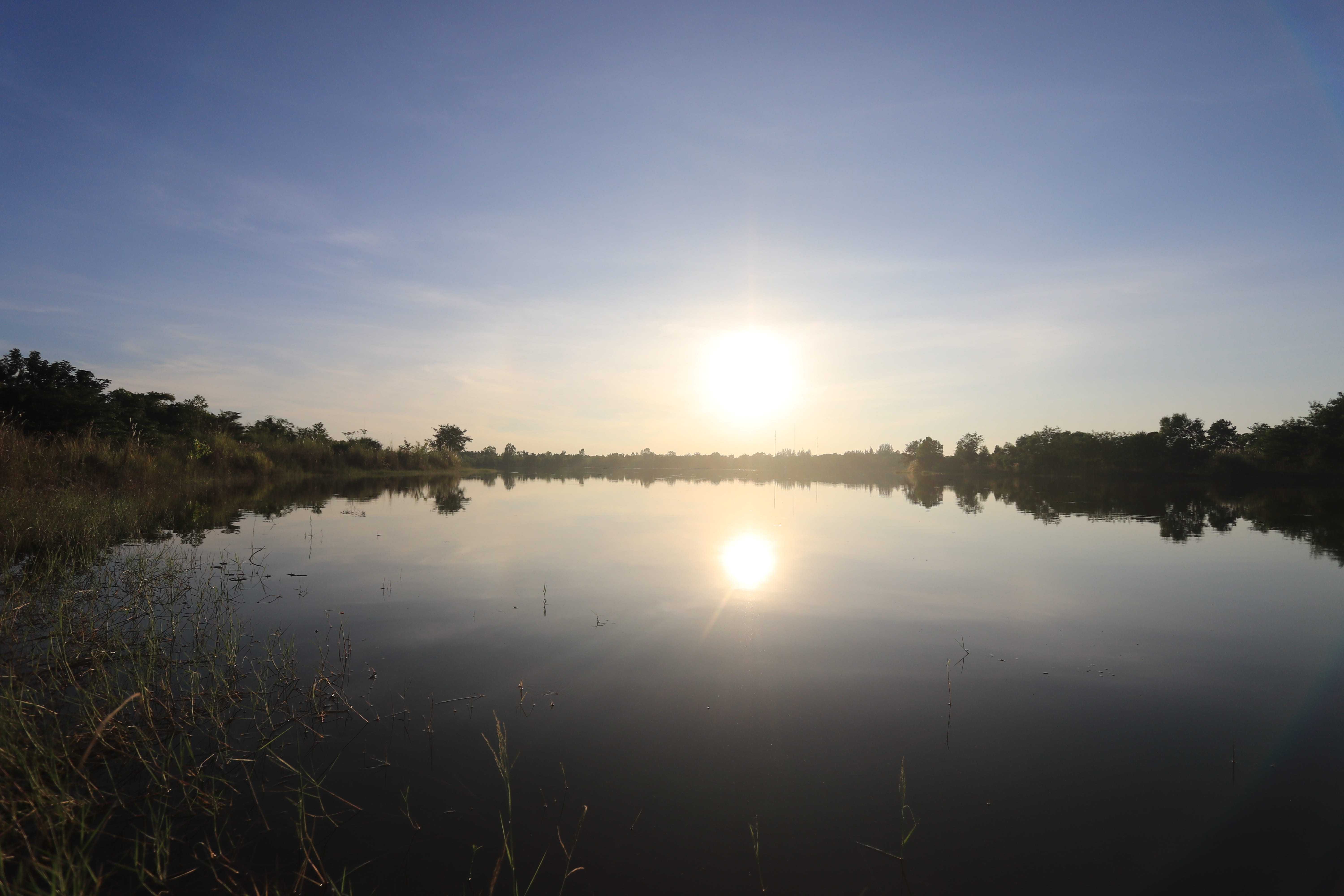 plant, water, tranquil scene, no people, sunset, 5K, idyllic, reflection lake, non-urban scene, reflection, scenics - nature, sunshine, tree, beauty in nature, HD Wallpaper
