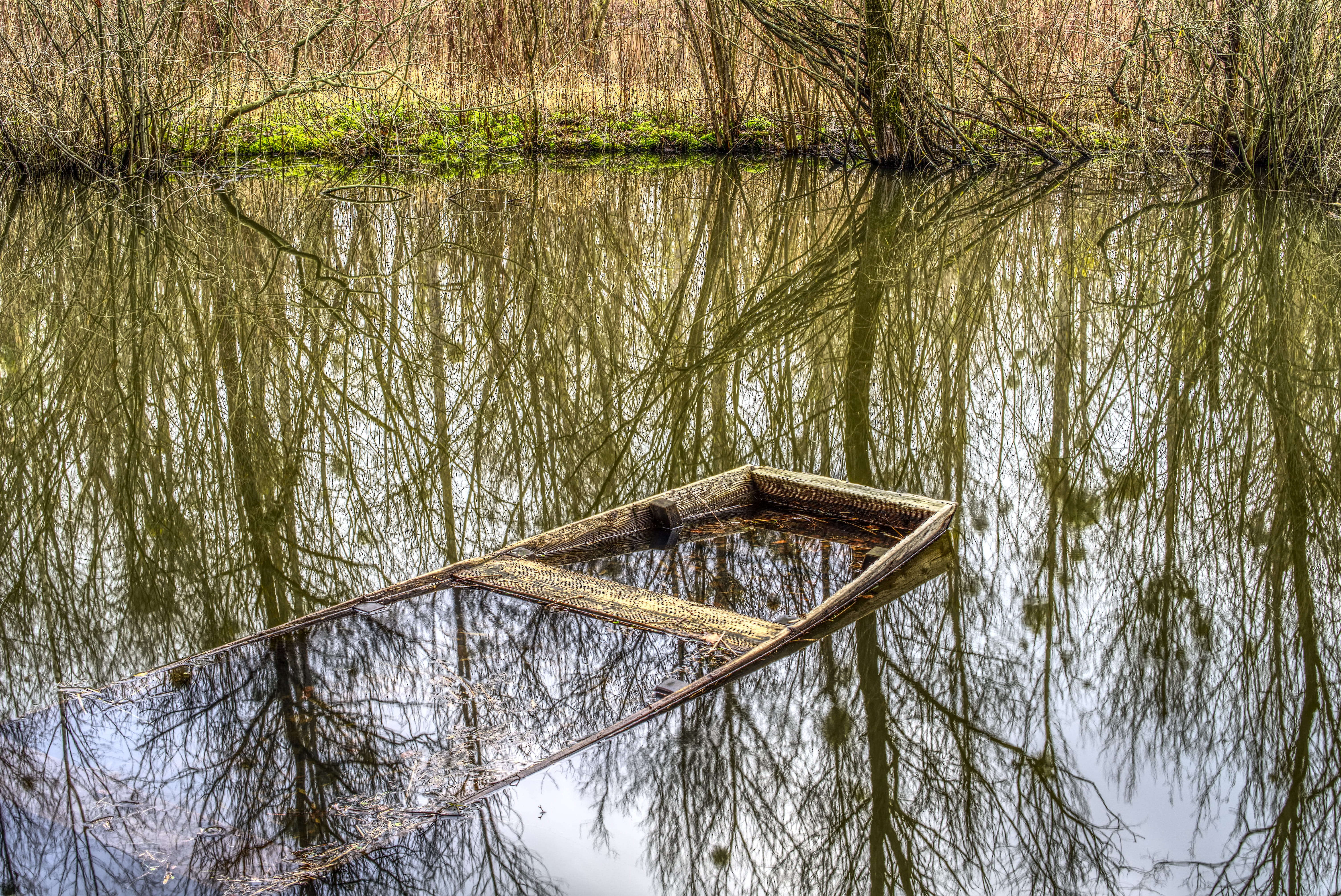 5K, growth, rowing boat, boat, nature conservation, rowboat, trees, go under, water, high dynamic range, river, plant, tranquility, outdoors, scenics - nature, HD Wallpaper