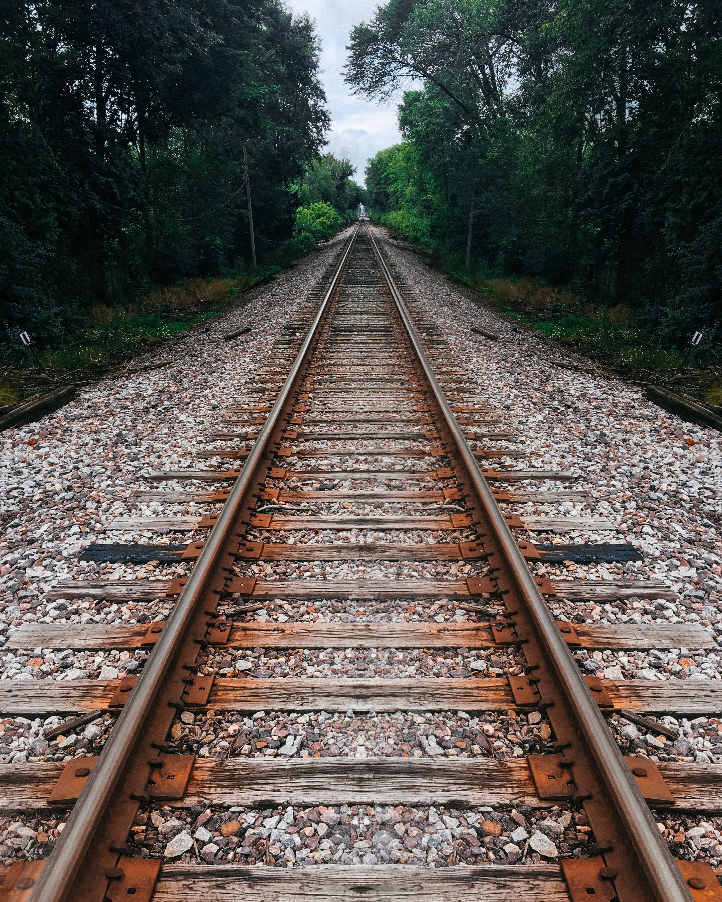 land, railroad track, trees, mode of transportation, transportation, railway, parallel, pebble, connection, stones, vanishing point, no people, metal, track, Phone HD Wallpaper