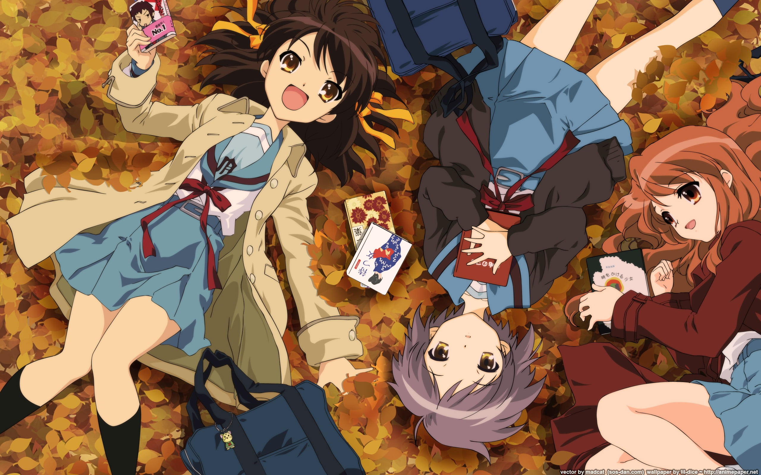 The Melancholy of Haruhi Suzumiya, large group of objects, high angle view, outdoors, Suzumiya Haruhi no Yuutsu, food and drink, halloween, sunlight, 2K, HD Wallpaper