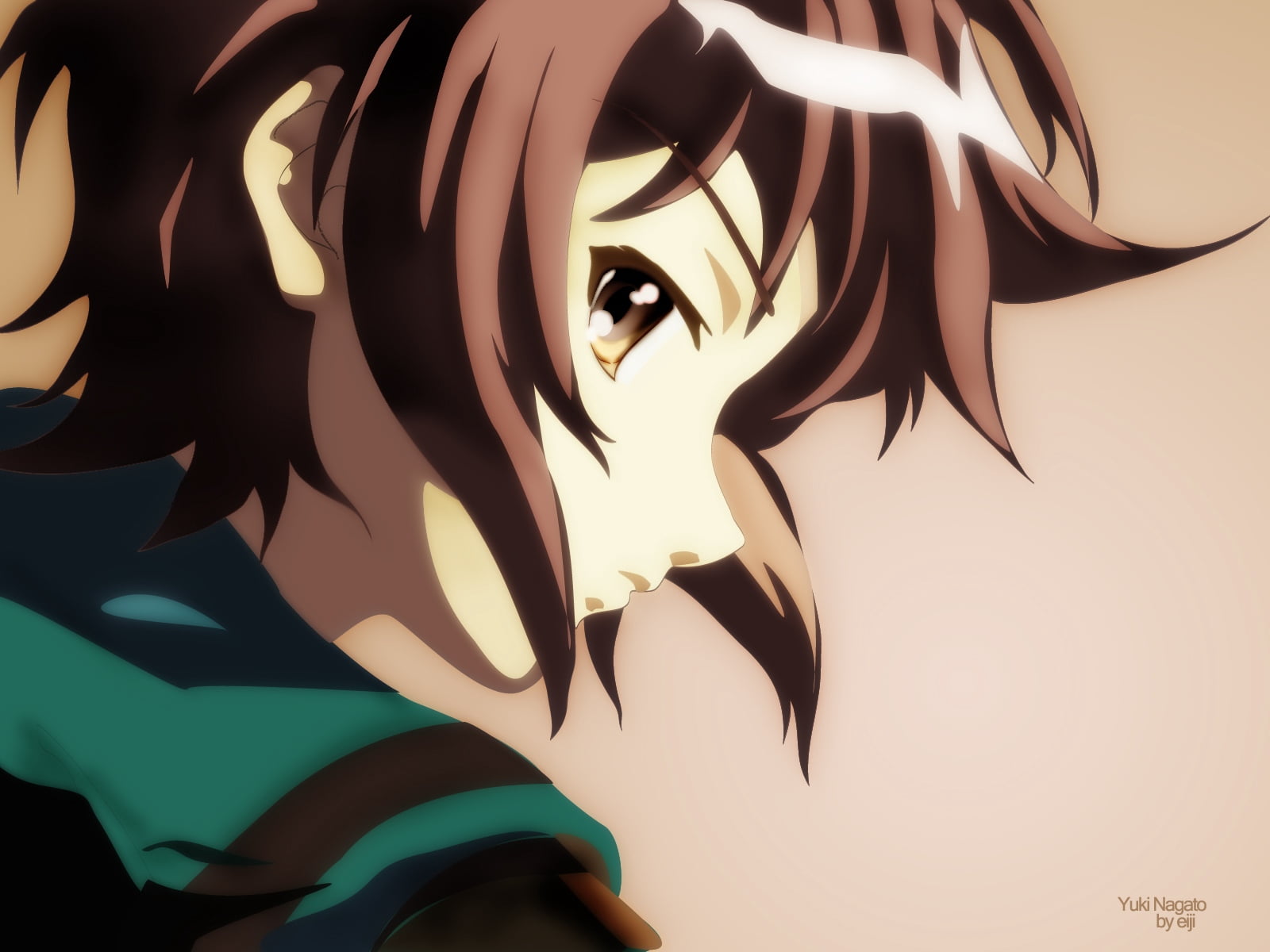 close up, profile, close-up, plant part, lifestyles, illuminated, portrait, wall - building feature, nagato yuki, female likeness, art and craft, indoors, HD Wallpaper