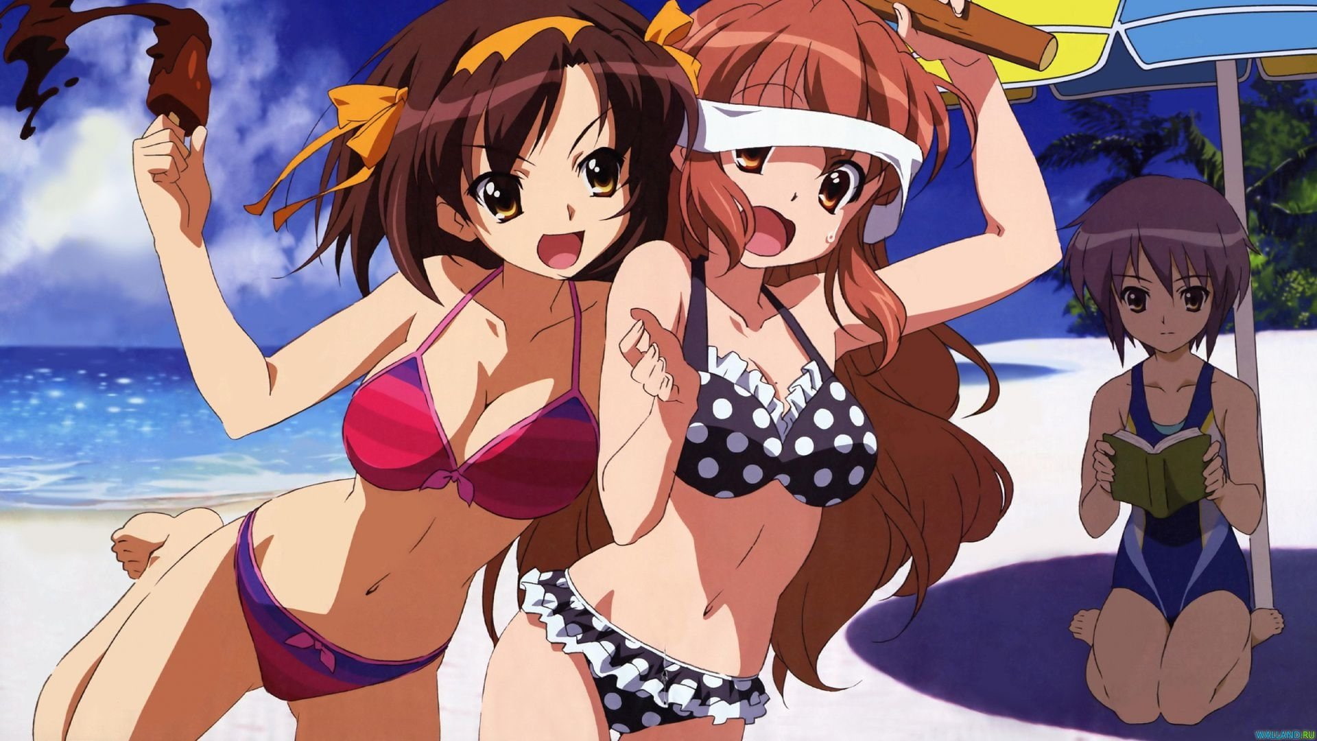 The Melancholy Of Haruhi Suzumiya, Anime, Haruhi Suzumiya, 1080P, Mikuru Asahina, Yuki Nagato, HD Wallpaper