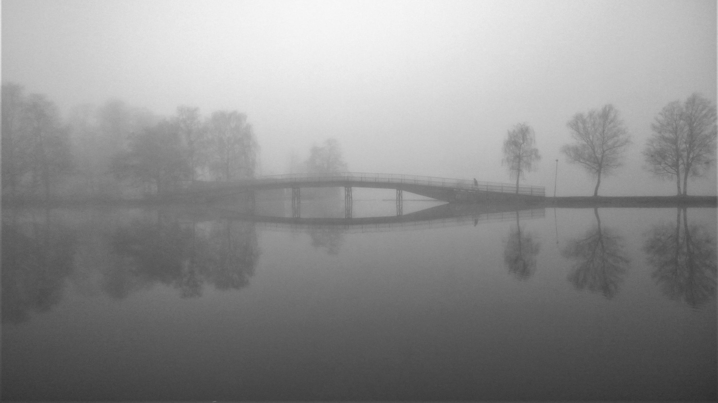 horizon, gota river, non-urban scene, peaceful, winter, tranquil scene, beauty in nature, nature, beautifully, morning, waterfront, photo, weather, autumn, HD Wallpaper