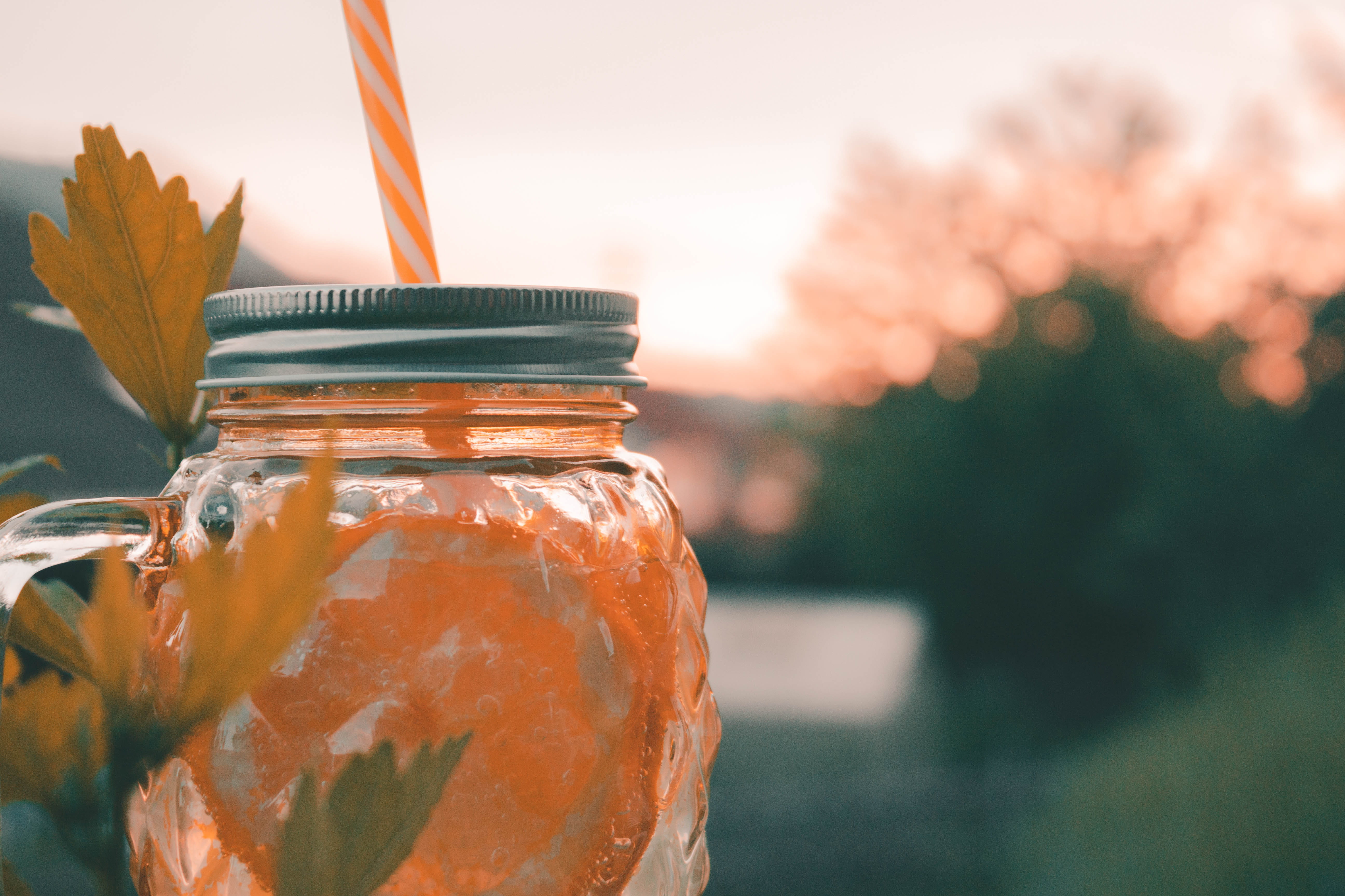 lightroom, glass - material, food and drink, transparent, zitrone, no people, jar, 5K, glas, ananas, citruswater, canon eos, nature, bottle, orange color, HD Wallpaper