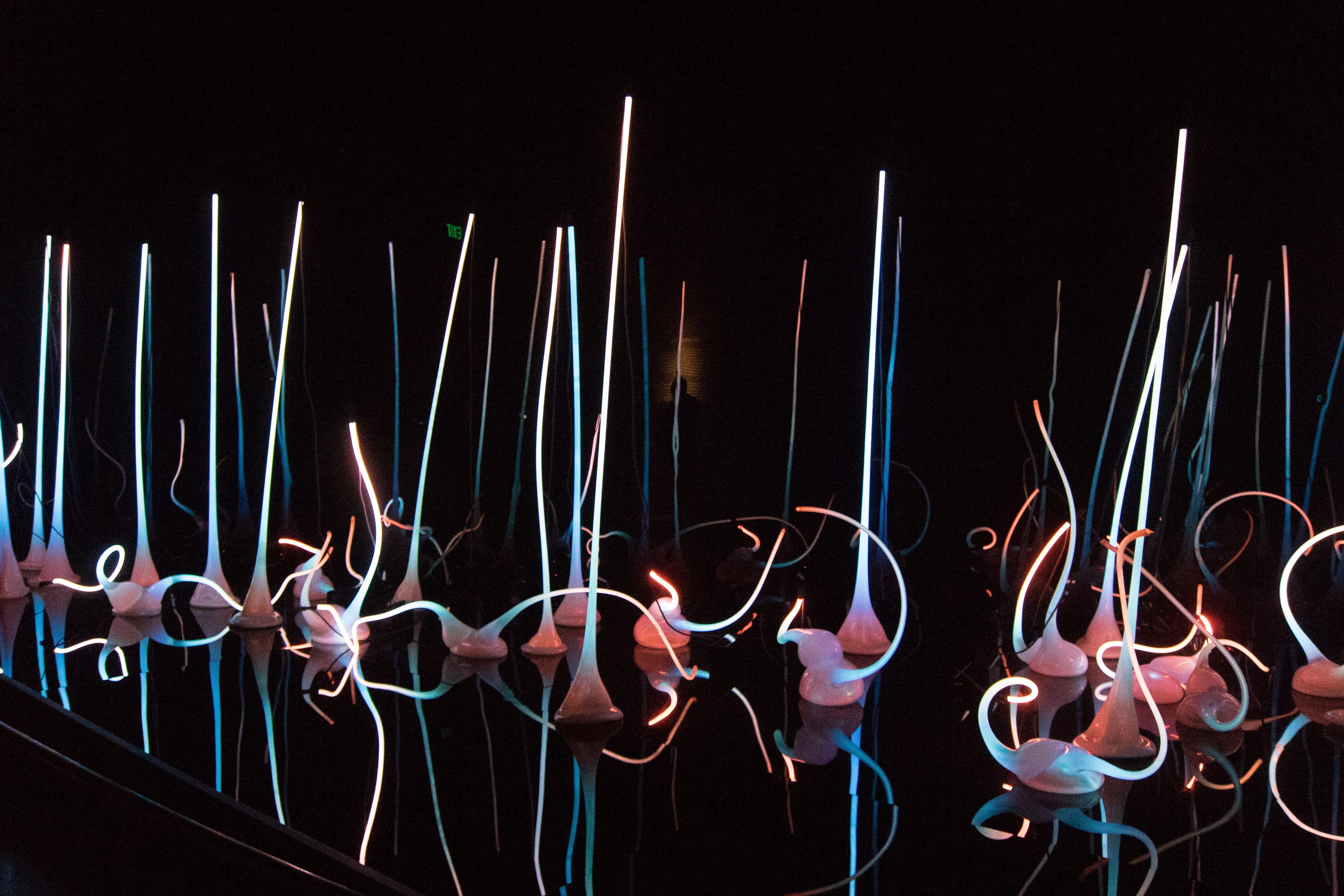 illuminated, famous, multi colored, artwork, exhibition, blown glass, museum, 4K, sculpture garden, creativity, long exposure, collection, gallery, indoors, HD Wallpaper