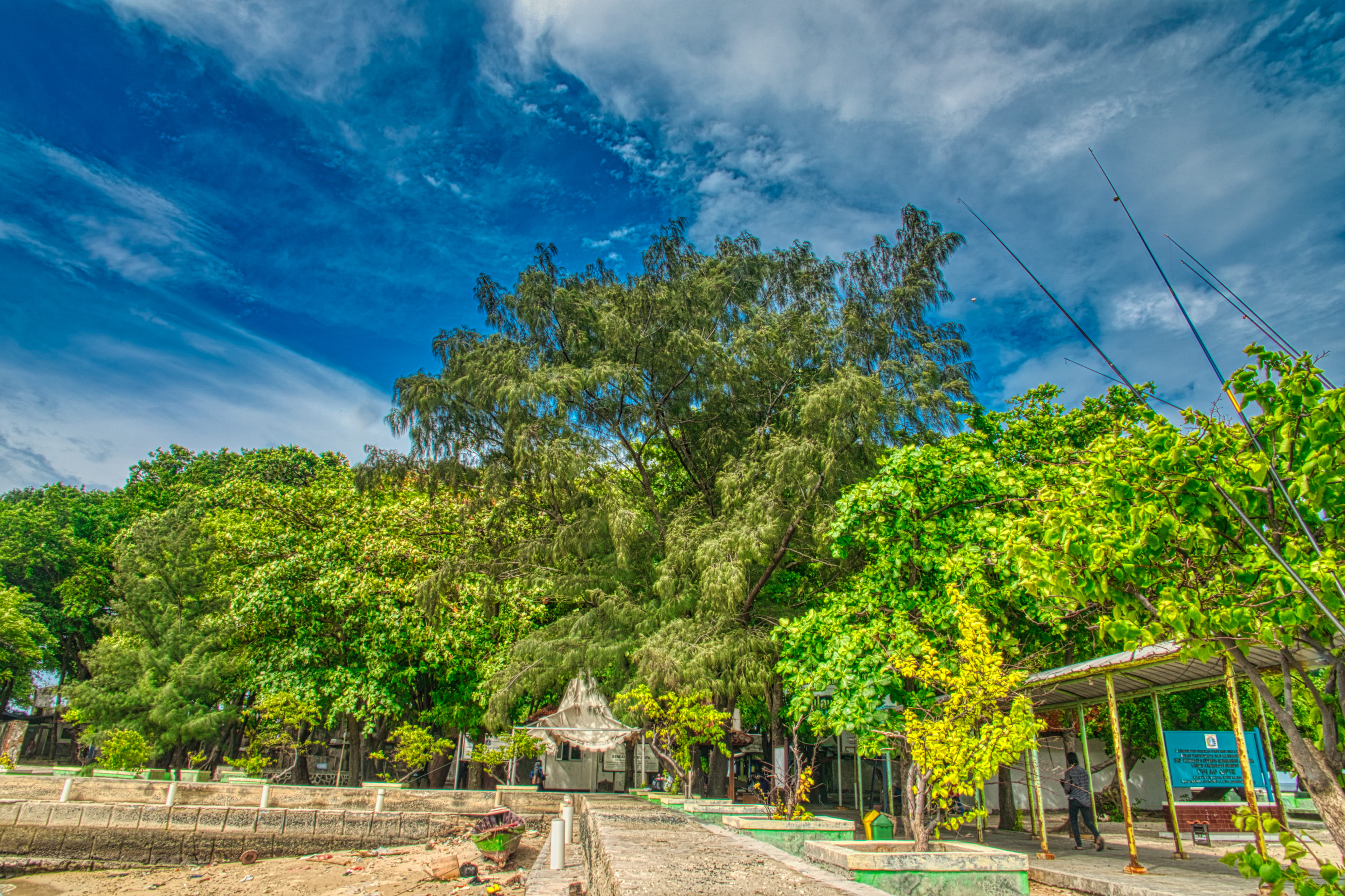 clouds, near, outdoors, tropical climate, landscape, pathway, sky, sand, scenic, green color, plant, blue, transportation, road, city, blue sky, cloudscape, HD Wallpaper