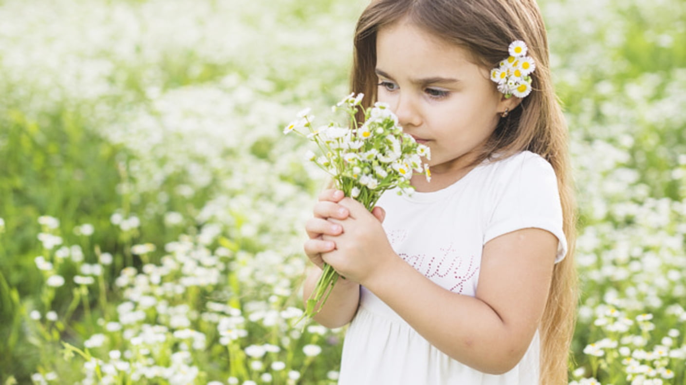 females, brown hair, casual clothing, holding, plant, day, offspring, Flowers, waist up, Meadow, long hair, nature, women, childhood, innocence, child, HD Wallpaper