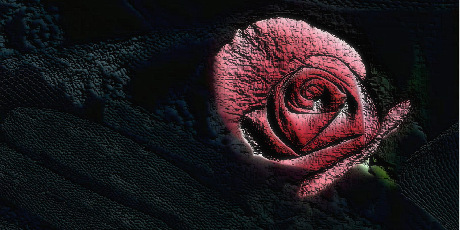 only men, rose, close-up, red roses, rose - flower, flower head, 720P, freshness, wedding, no people, Red, eye, plant, adult, Wedding, pink color, inflorescence, HD Wallpaper