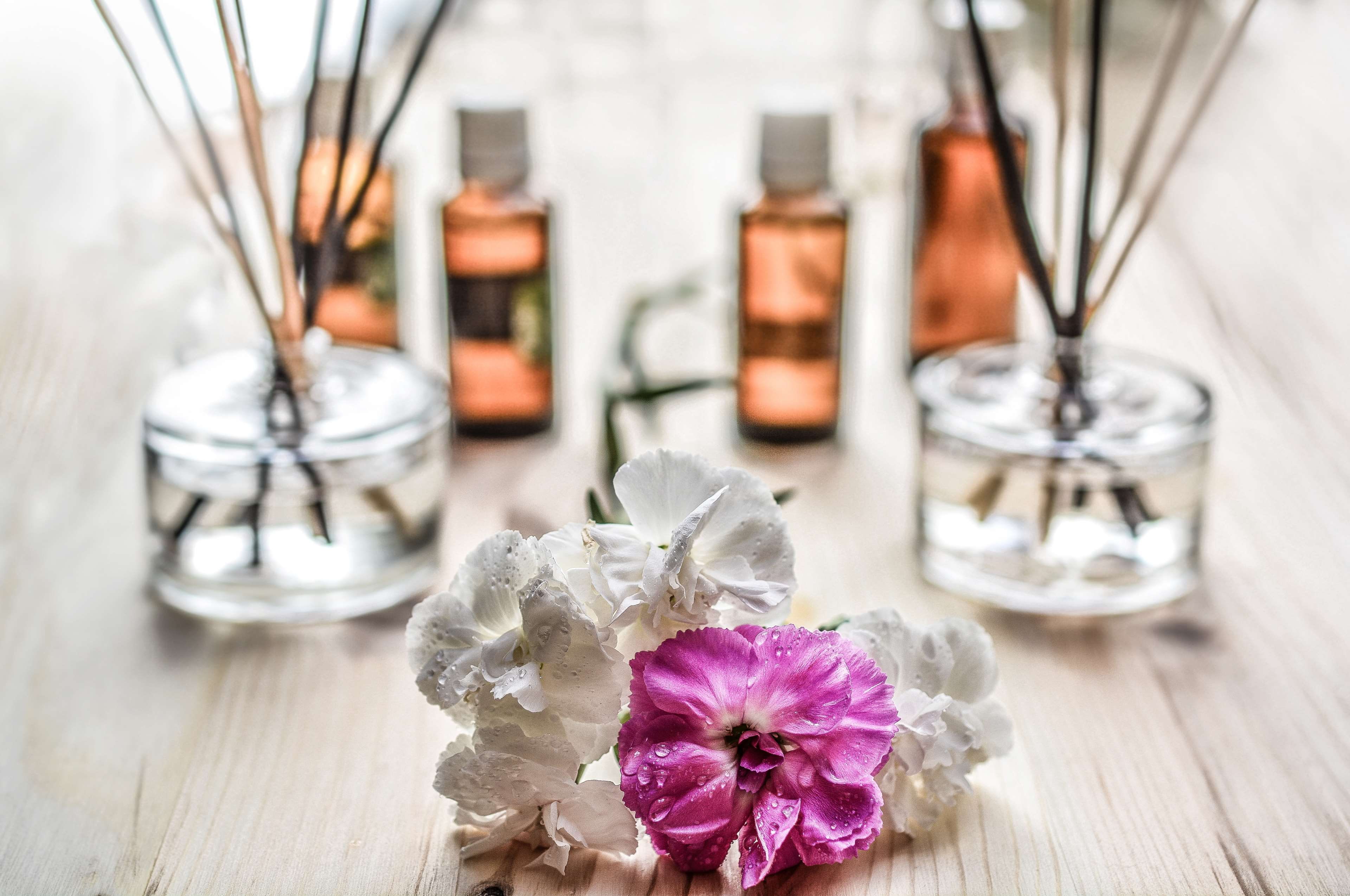 nature, incense, healthcare and medicine, flower, medicine, homeopathy, decoration, alternative, indoors, home, household equipment, no people, transparent, HD Wallpaper