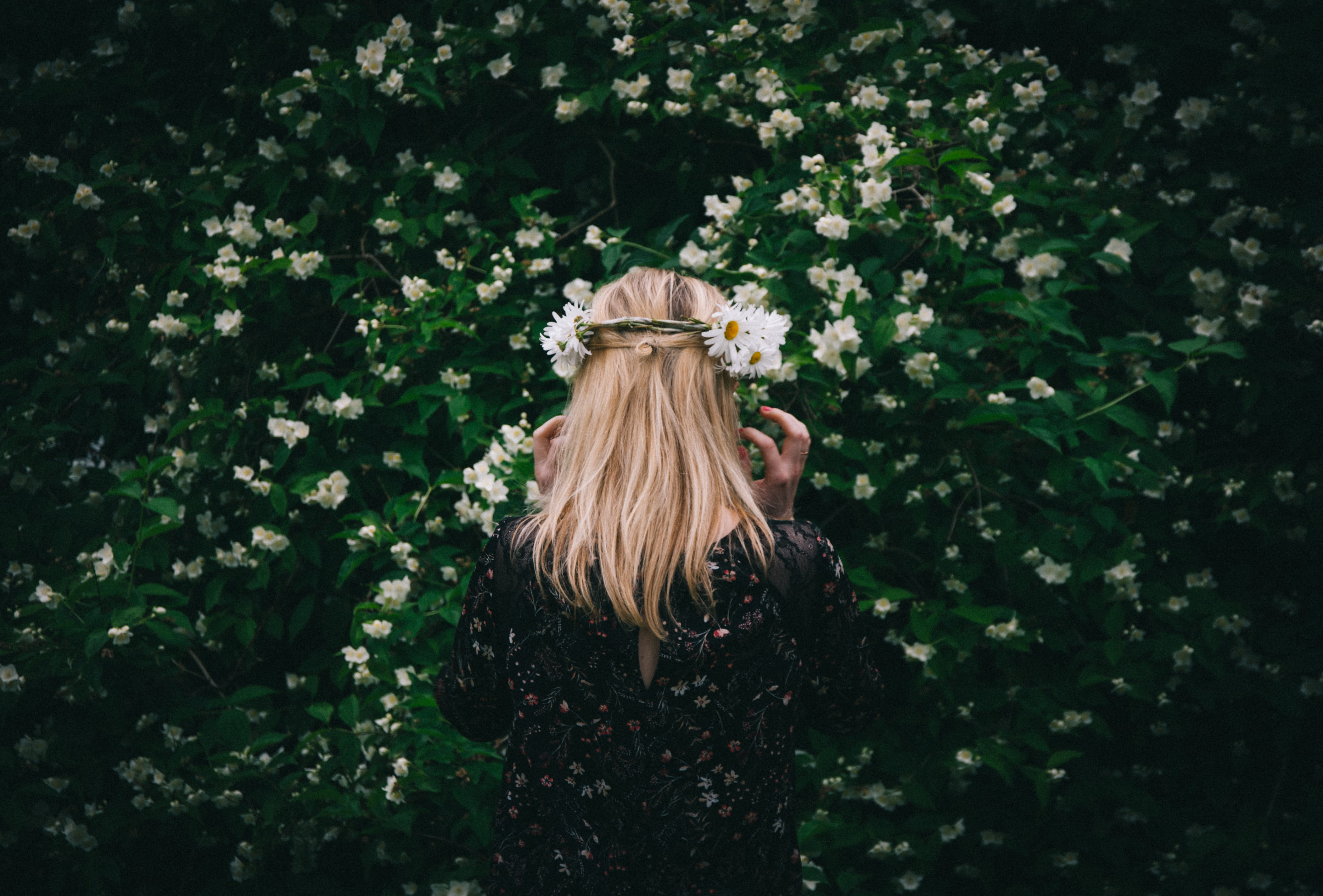 petaled, white, real people, growth, flowers, standing, leaf, photography, outdoors, bush, nature, lifestyles, woman, headdress, green color, day, beauty, HD Wallpaper