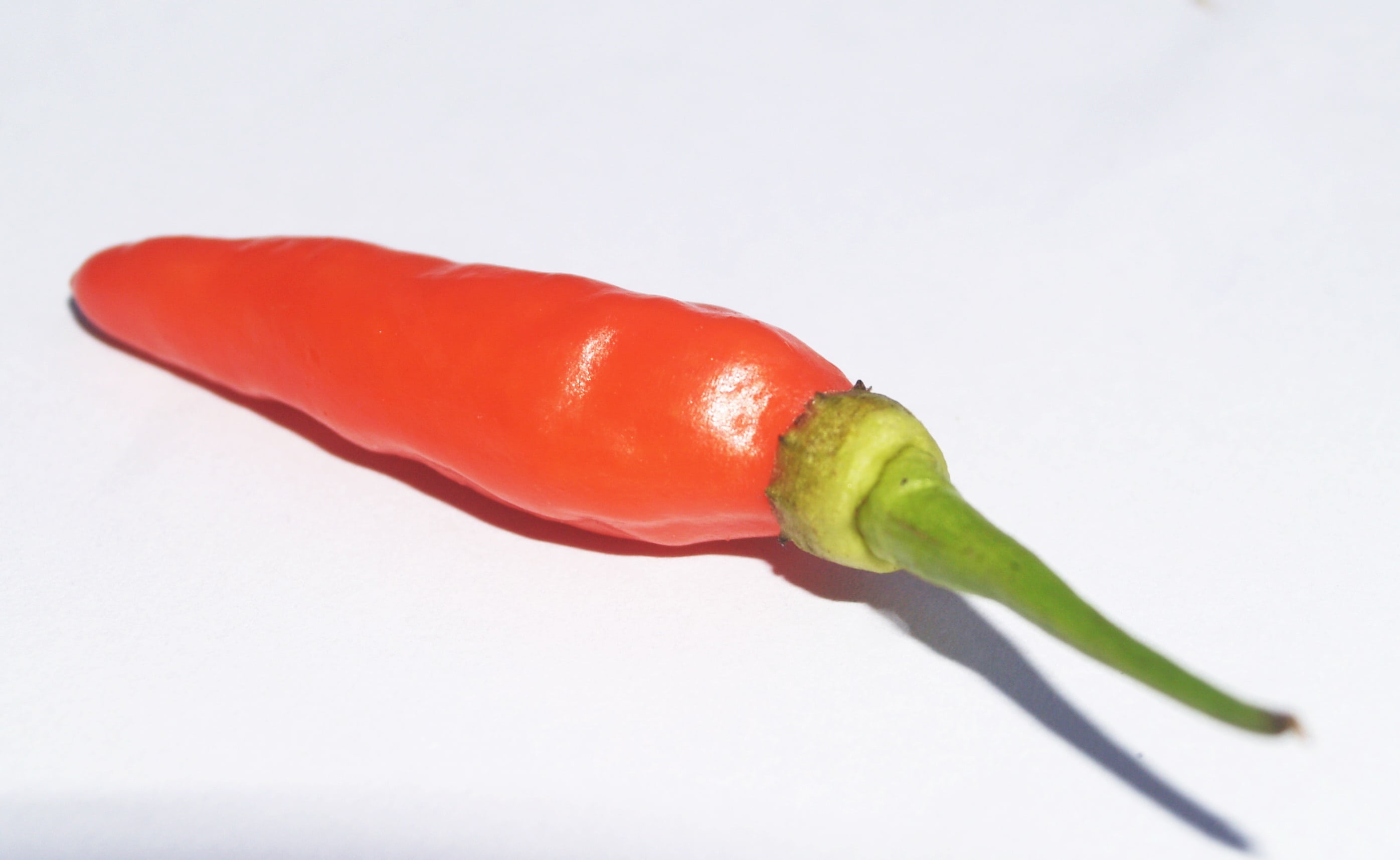 wellbeing, cooking, sharp, chile, vitamin, object, isolated, capsaicin, white background, green color, ripe, eating, spice, red, ingredient, pepper, pepperoni, HD Wallpaper