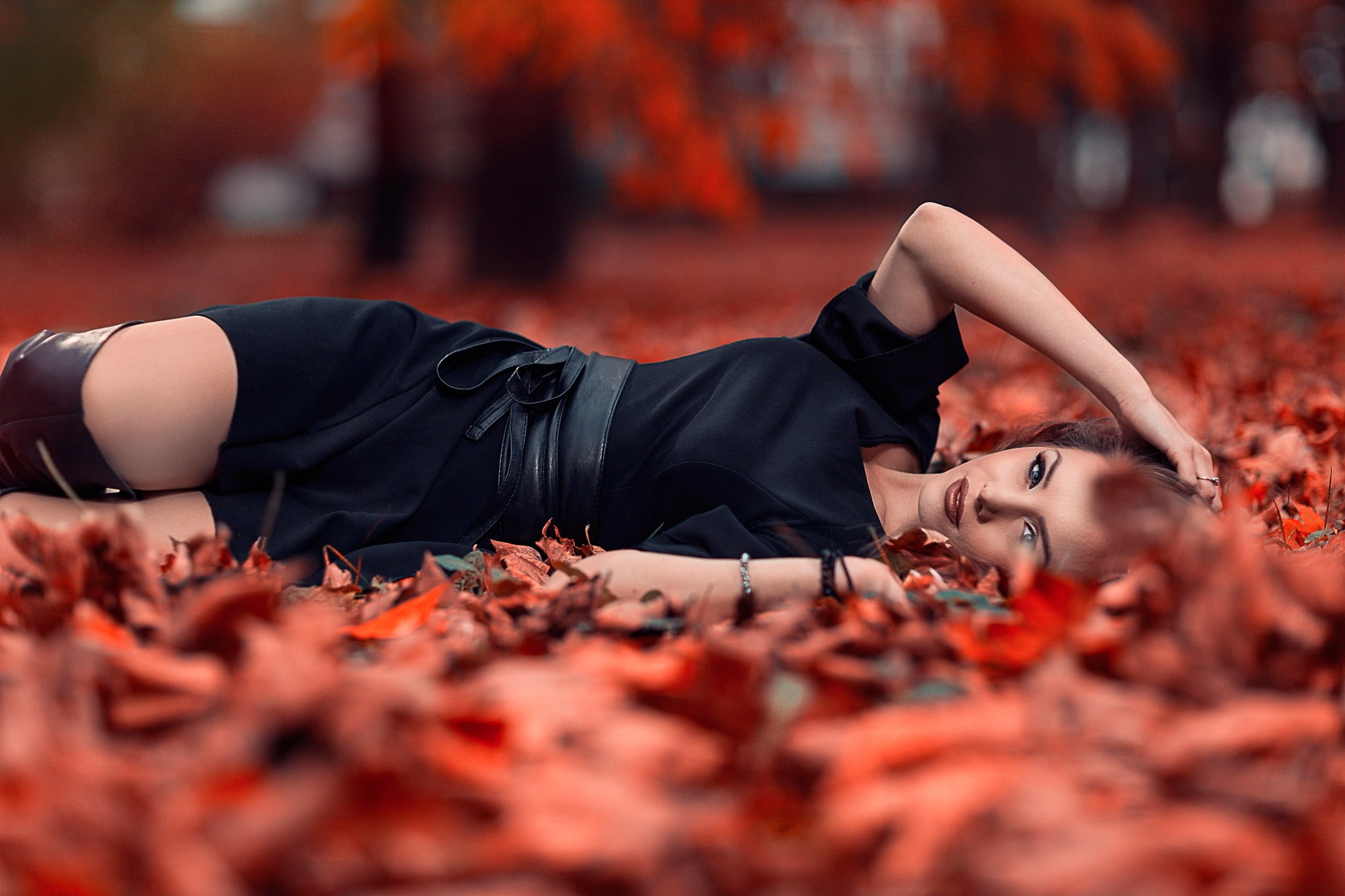 young adult, leaf, selective focus, red, land, lying down, fall, adult, day, autumn, people, change, black dress, nature, plant part, women, women outdoors, HD Wallpaper
