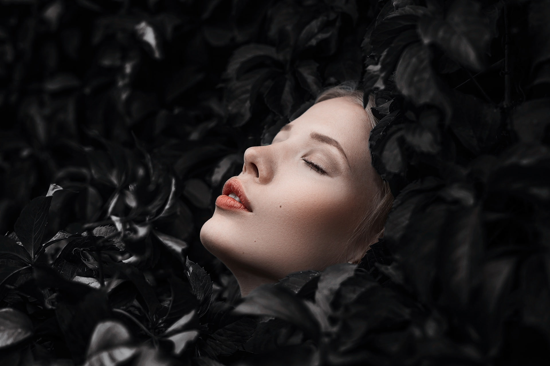 young women, close-up, women, relaxation, lying down, plant, nature, portrait, headshot, 1080P, one person, model, young adult, adult, black background, HD Wallpaper
