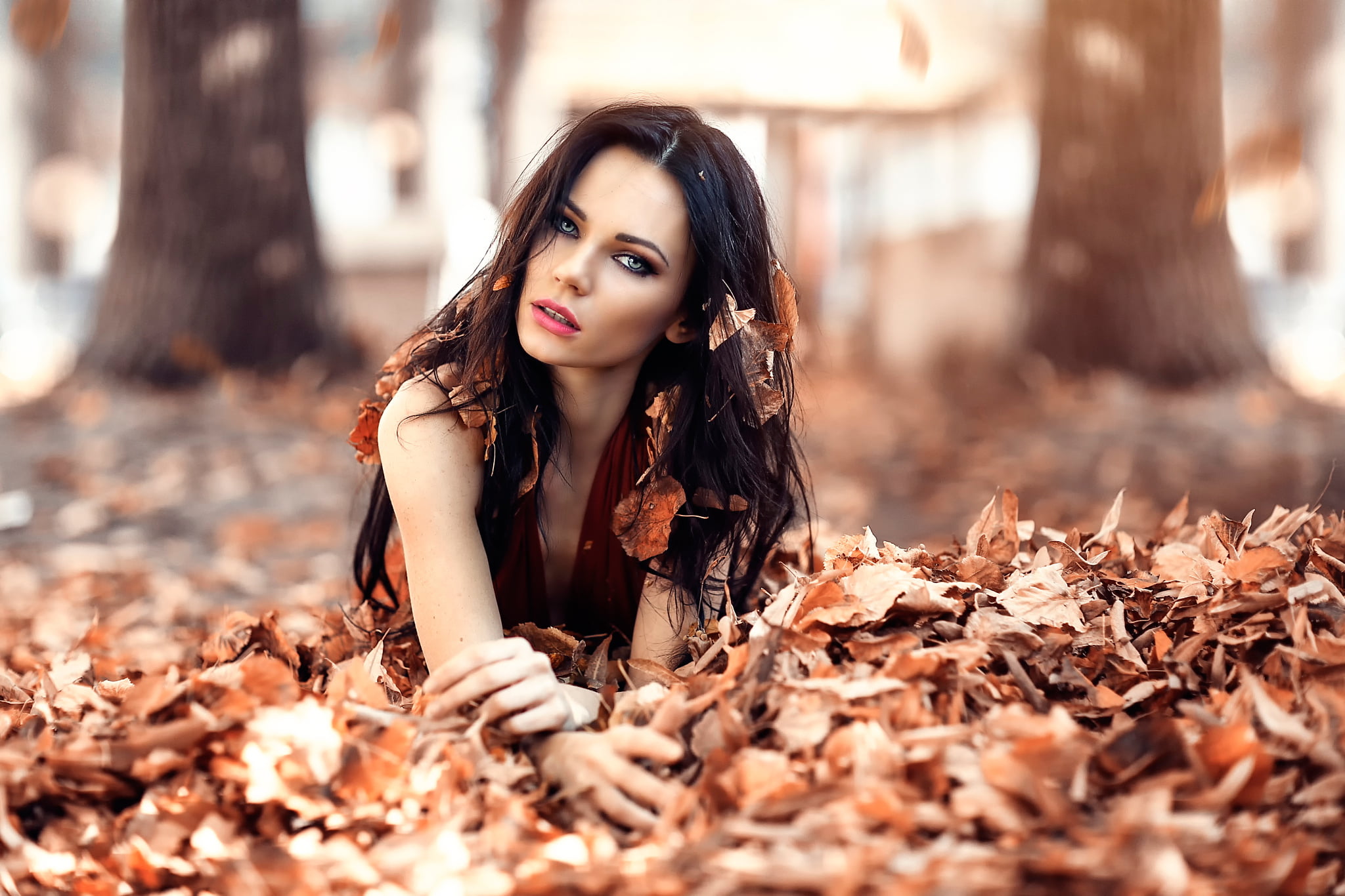 Alessandro Di Cicco, hair, beautiful woman, plant part, brown hair, portrait, young women, adult, awakening, fashion, one person, long hair, 1080P, dry, HD Wallpaper