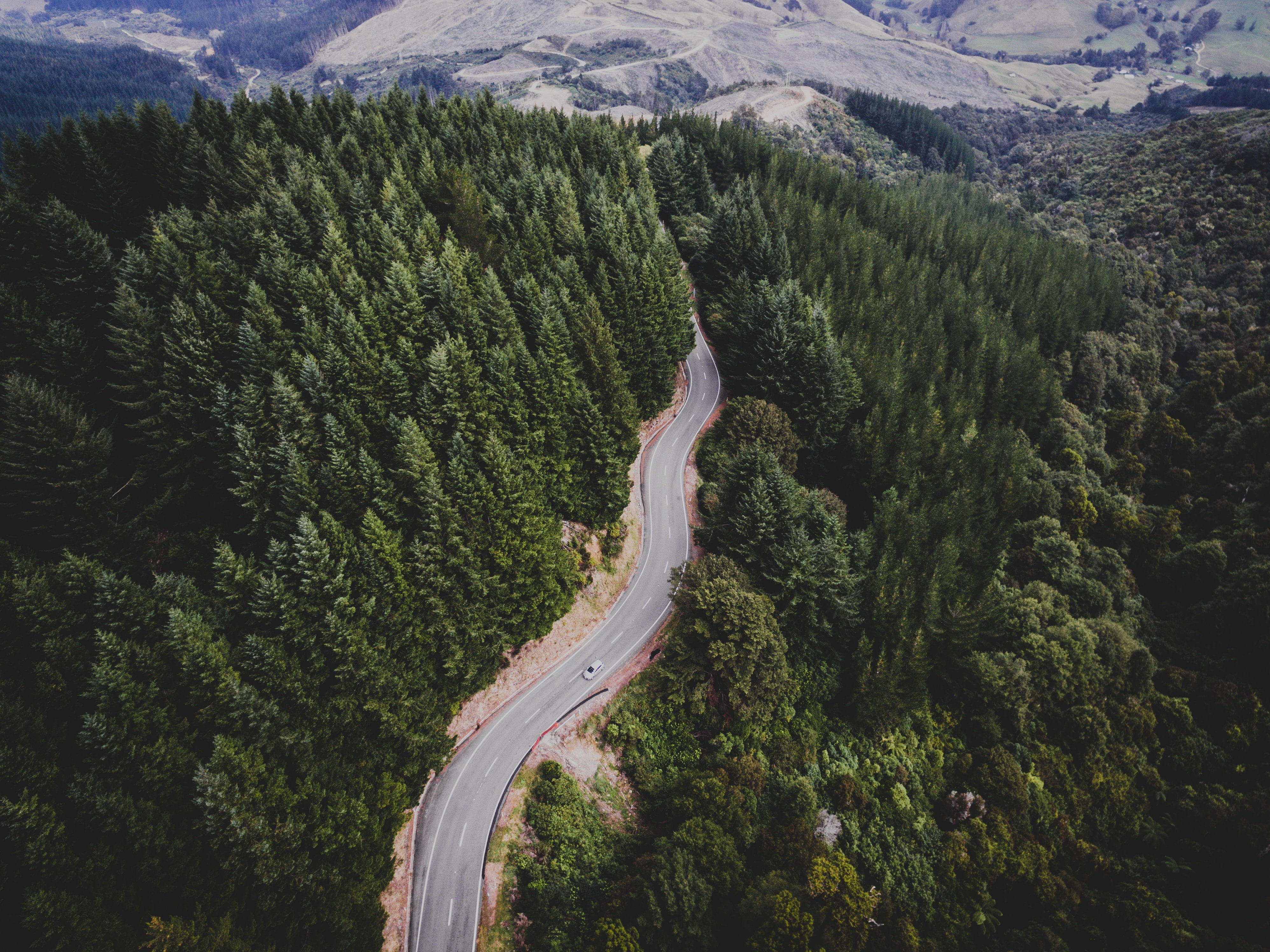 plant, transportation, environment, beauty In Nature, scenics - nature, europe, summer, valley, scenics, highway, high angle view, trees, blue, curve, pine, HD Wallpaper