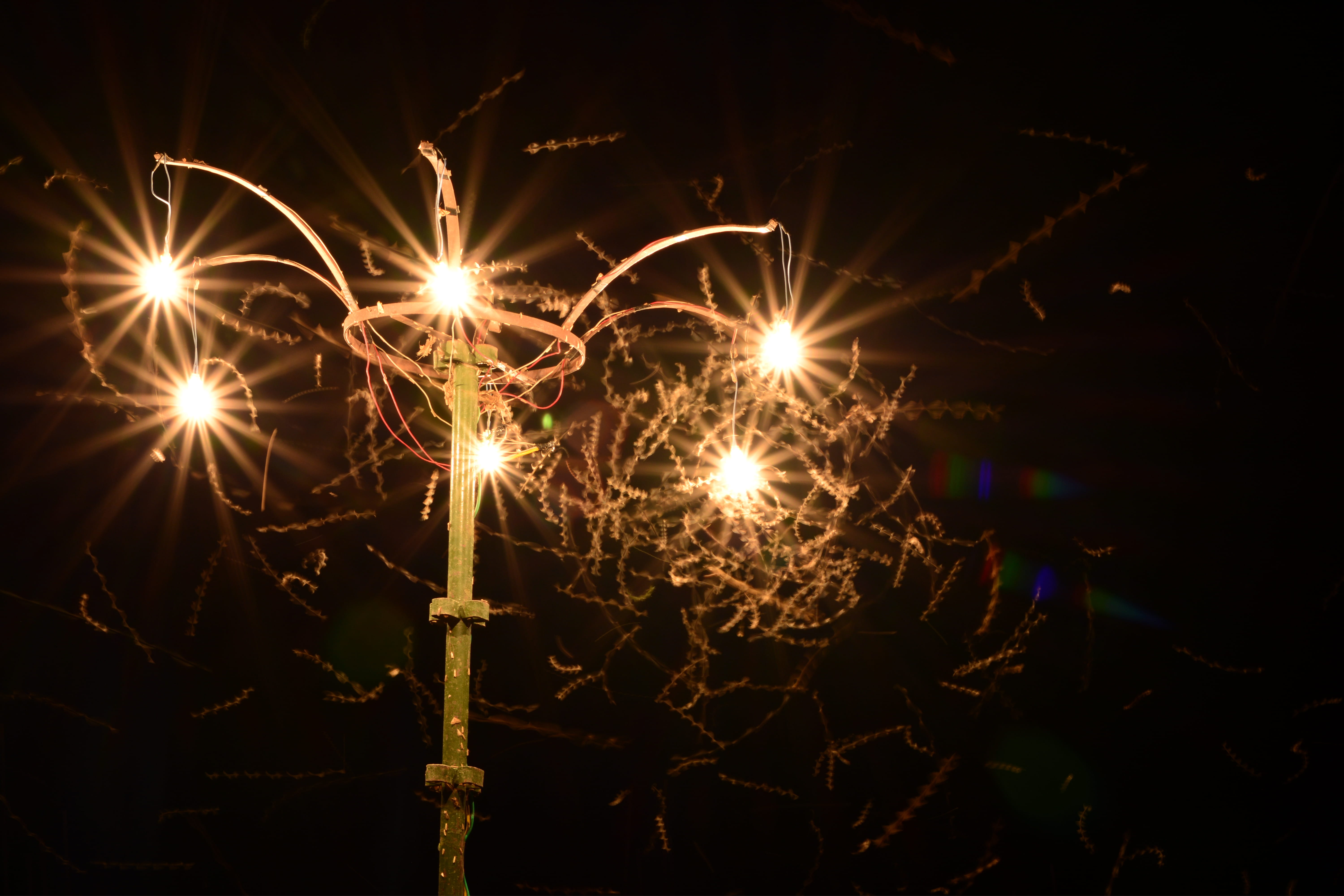firework display, motion, low angle view, arts culture and entertainment, illuminated, zig-zag, firework - man made object, moths, night, life, no people, HD Wallpaper