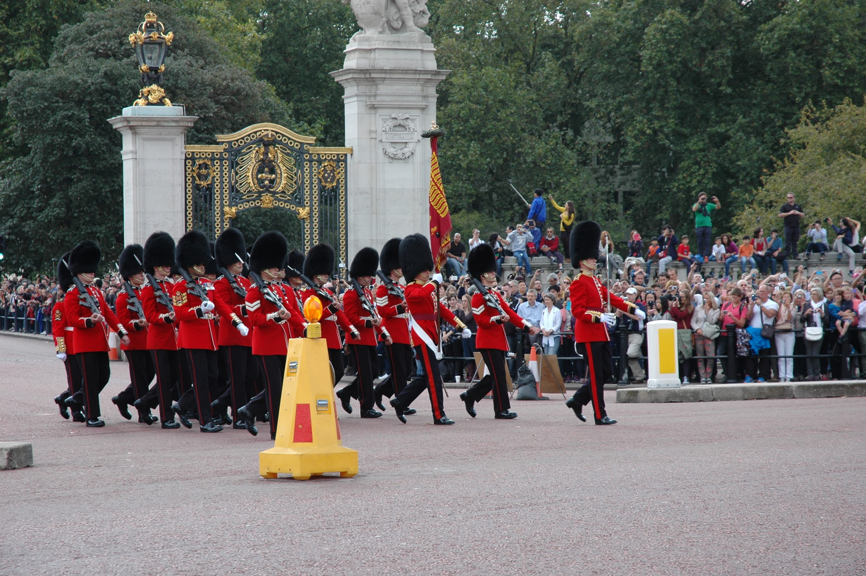 military uniform, tree, crowd, architecture, city, england 2014, event, outdoors, marching, real people, london, marching band, men, celebration, government, HD Wallpaper