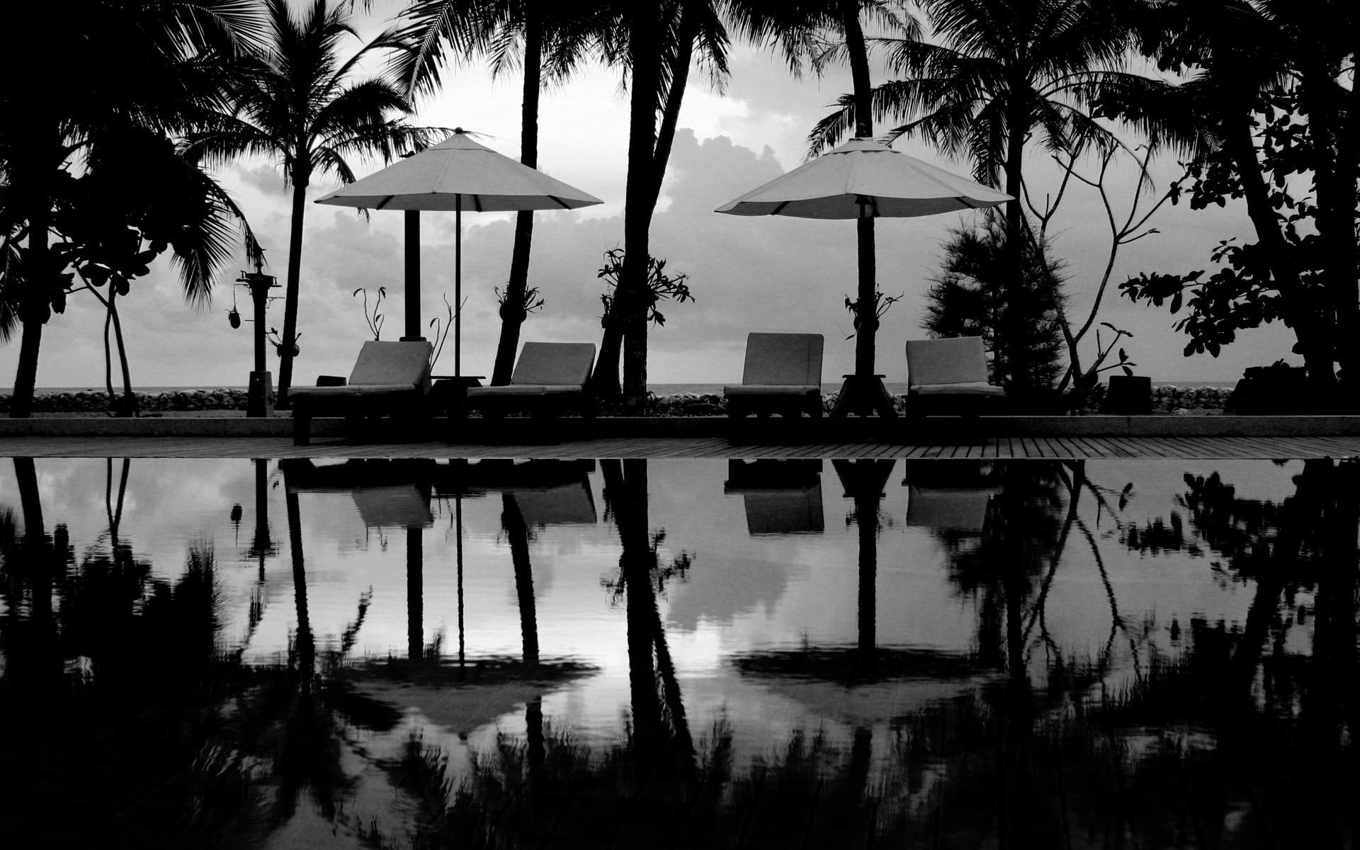 palm trees, 1080P, palms, 3d and abstract, other, nature, parasols, HD Wallpaper