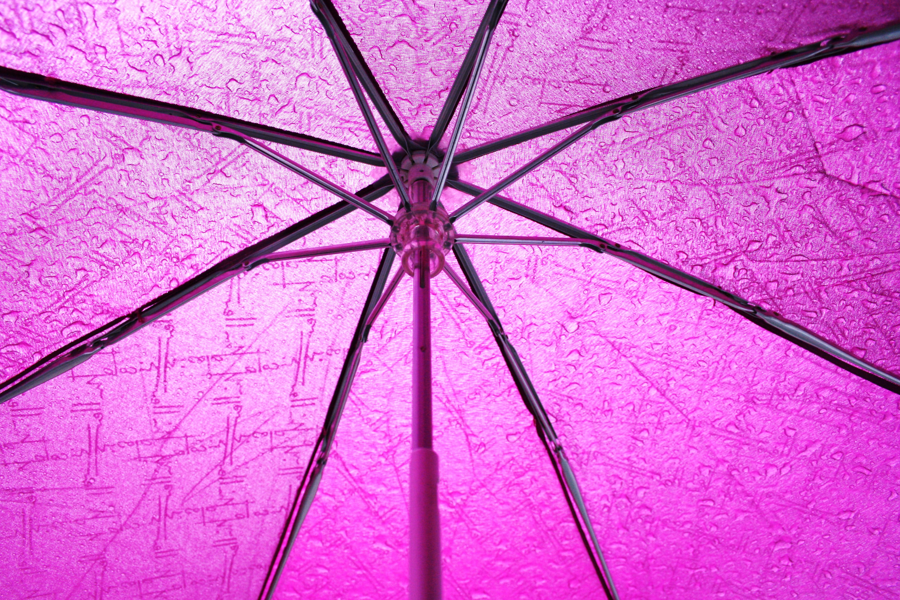 ready, metal, rain, wet, purple, 2K, backgrounds, umbrella, unfolded, cantilever, parasol, fuscia, HD Wallpaper