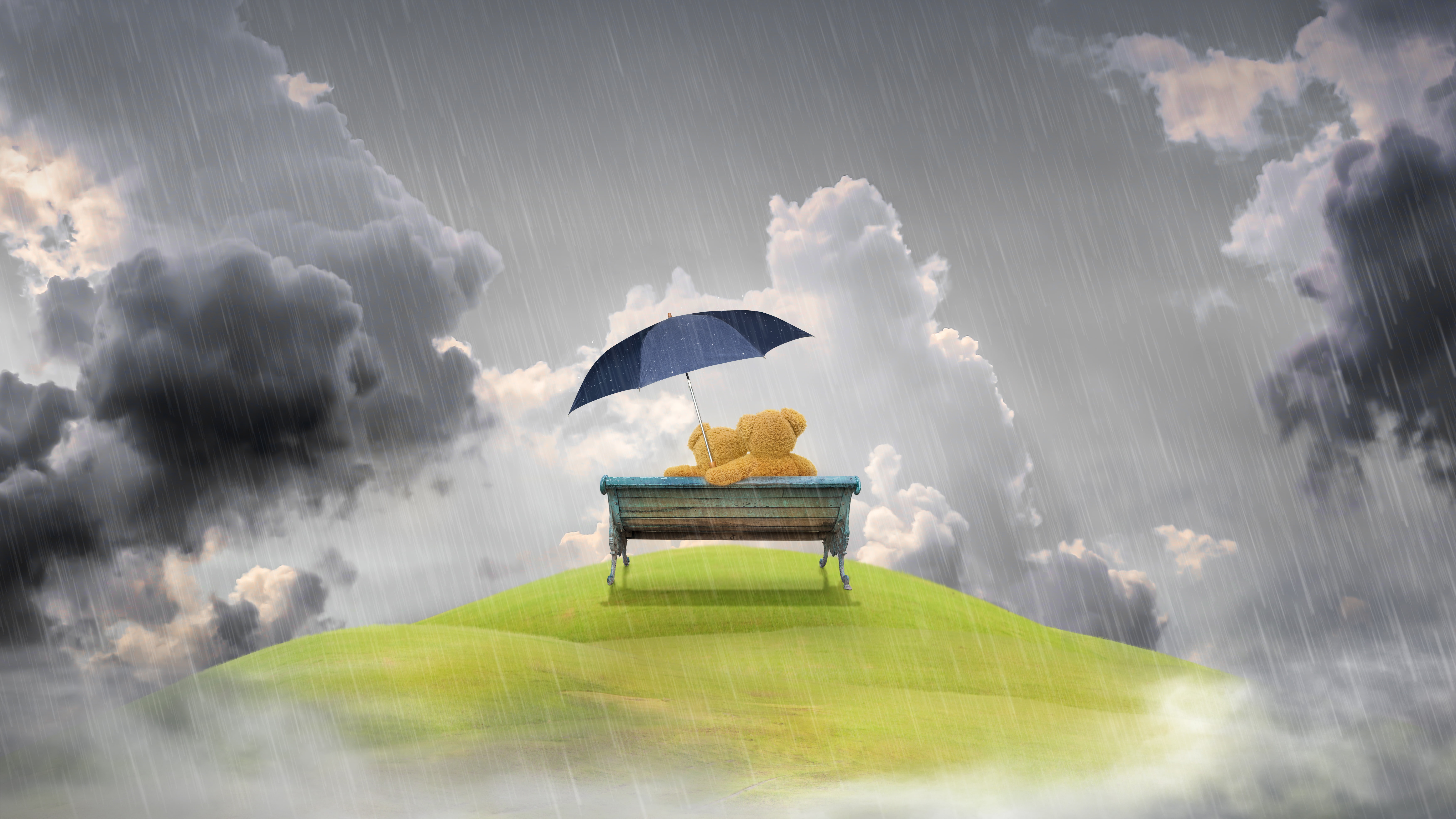 umbrella, sky, nature, Bears, cloud - sky, environment, 5K, outdoors, Couple, people, adult, water, protection, beauty in nature, wet, motion, storm, security, HD Wallpaper